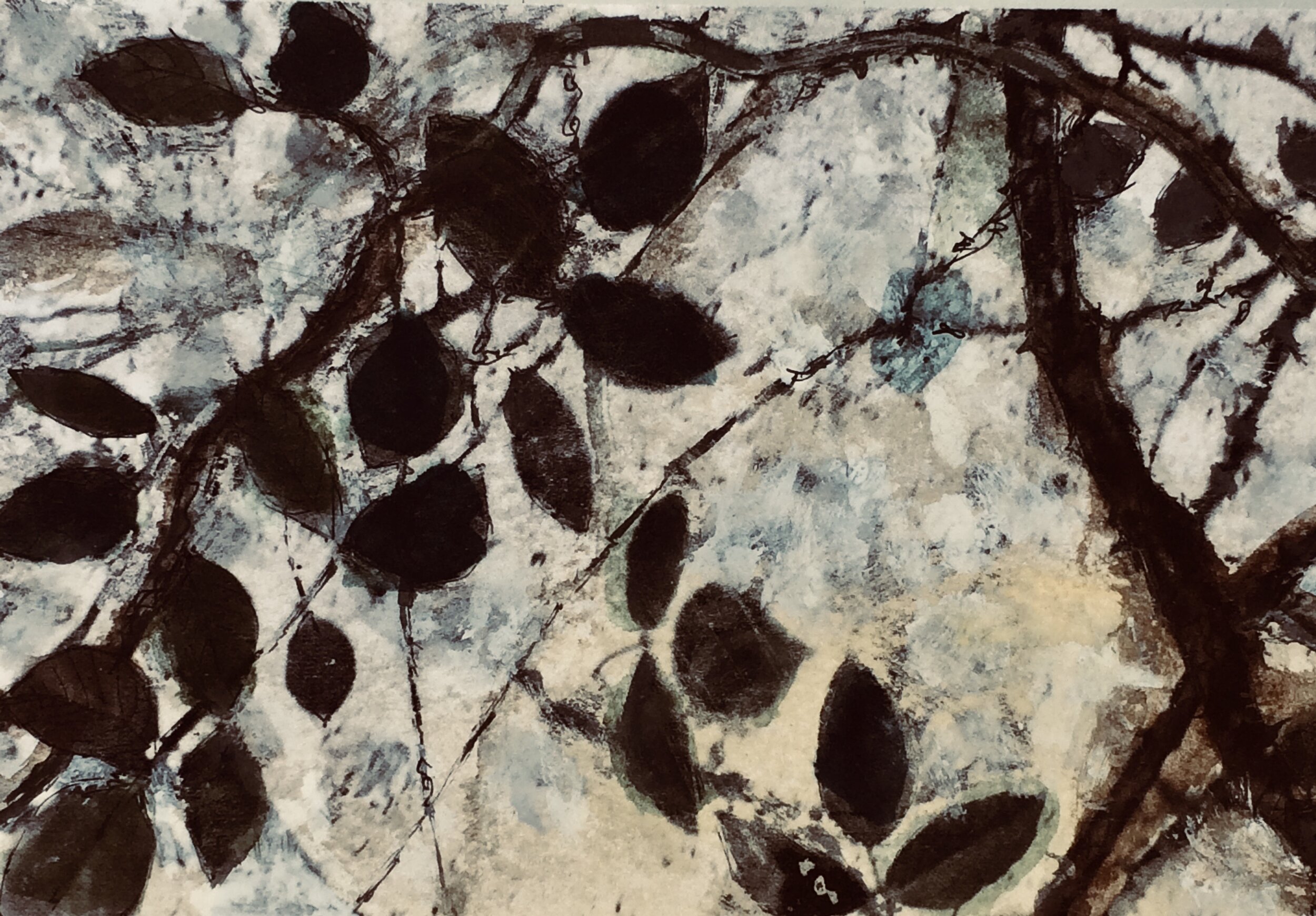 plants 20