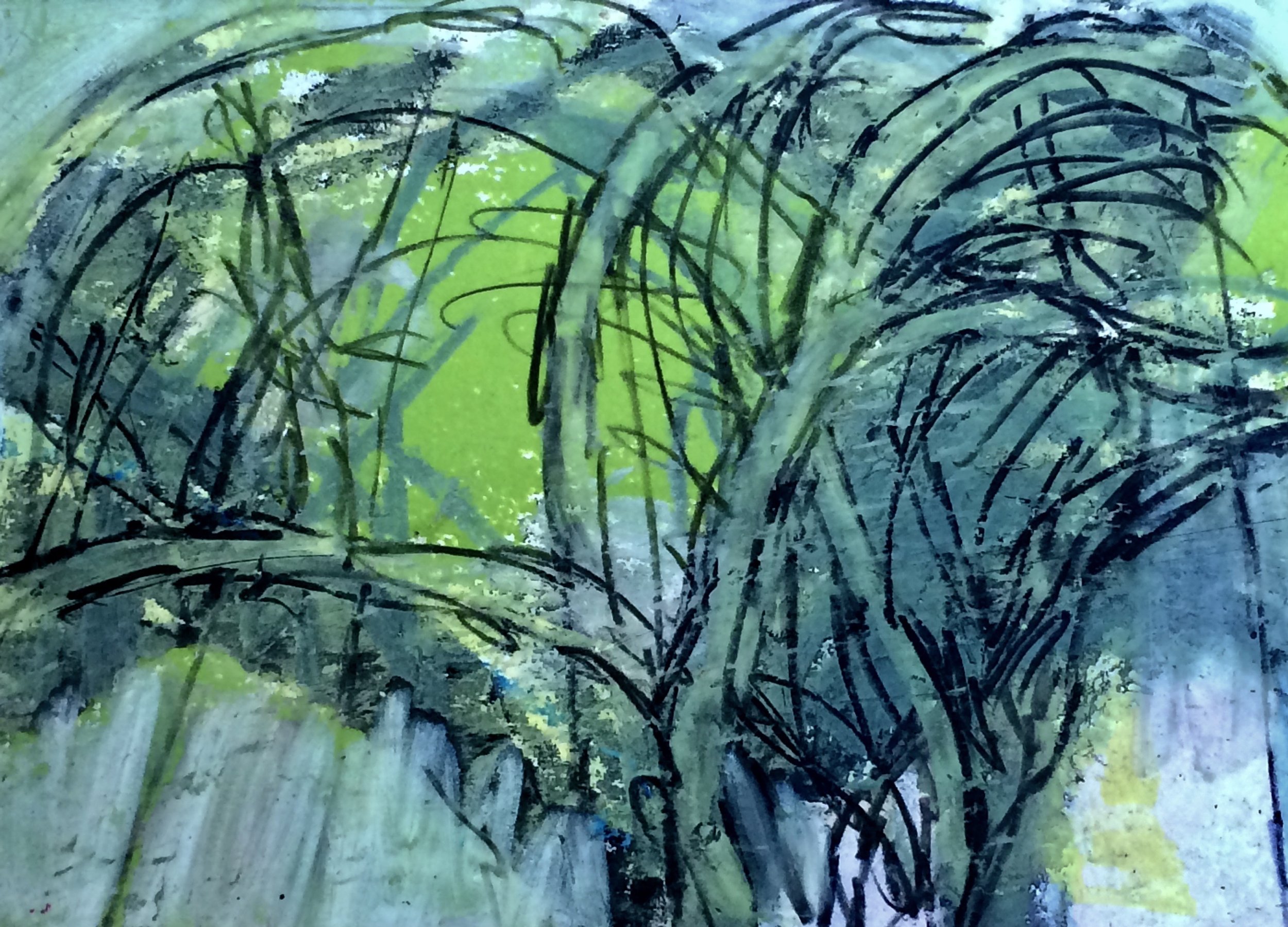 trees 84
