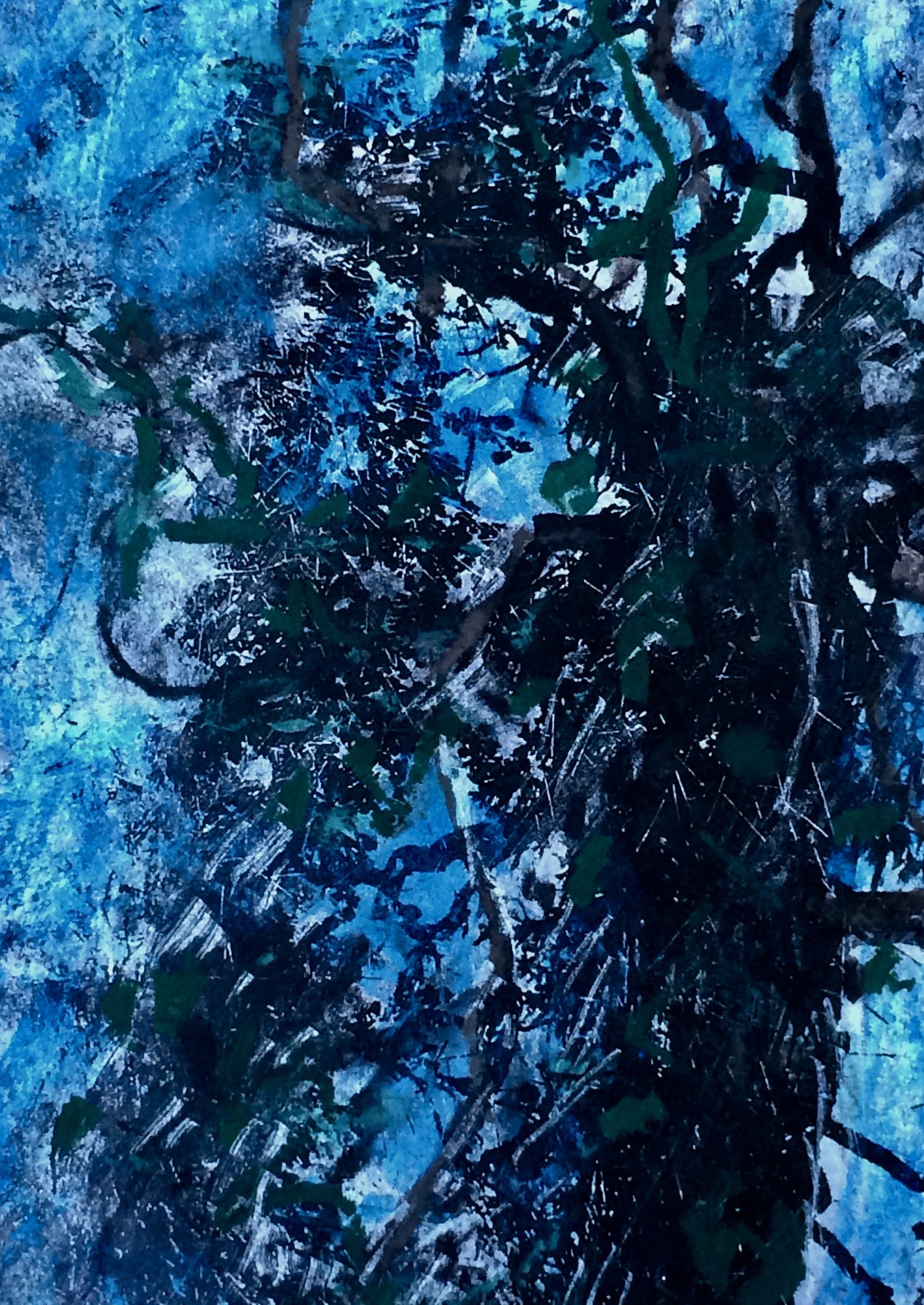 trees 97