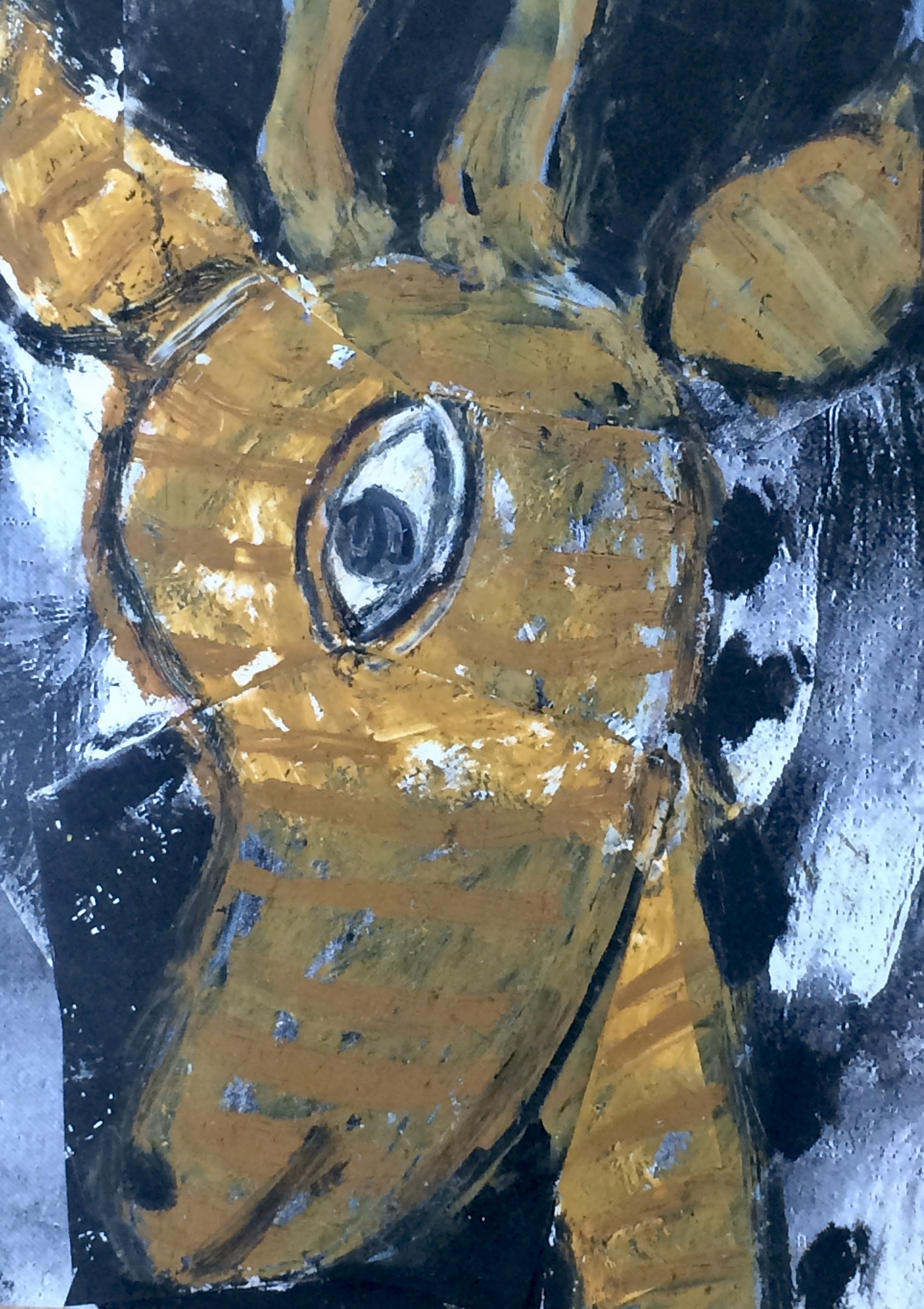 animals. 187
