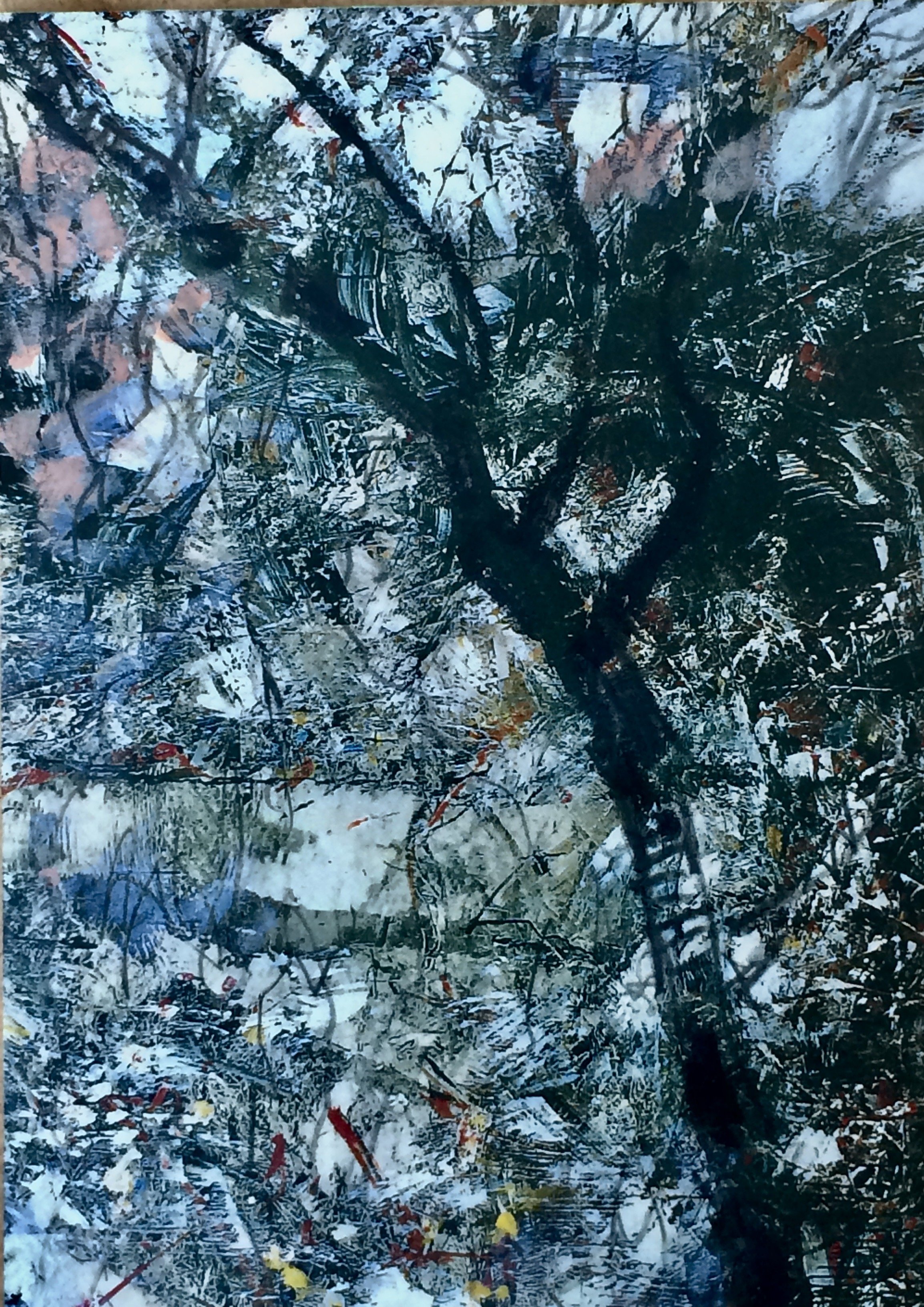 trees. 117