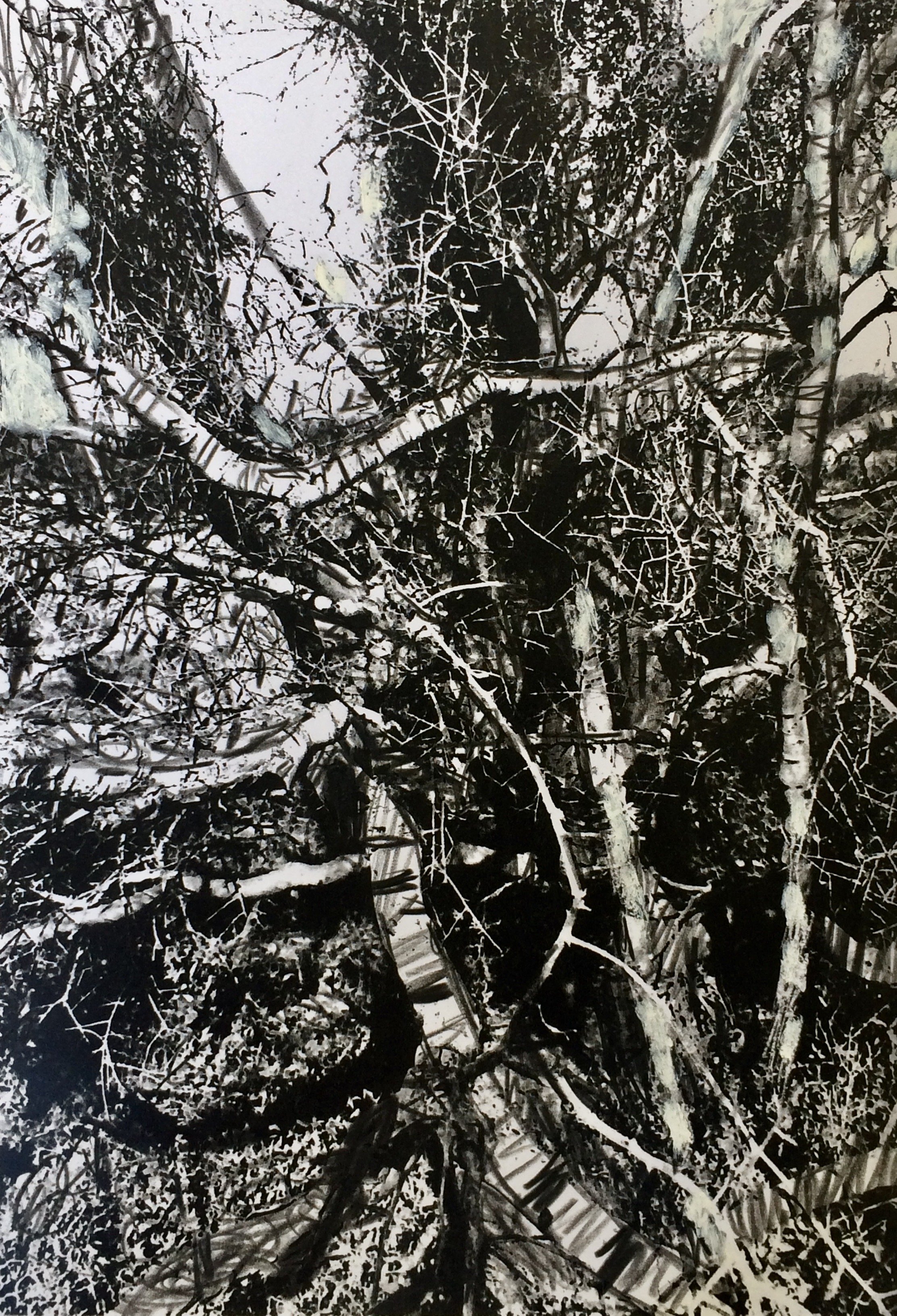 trees. 131