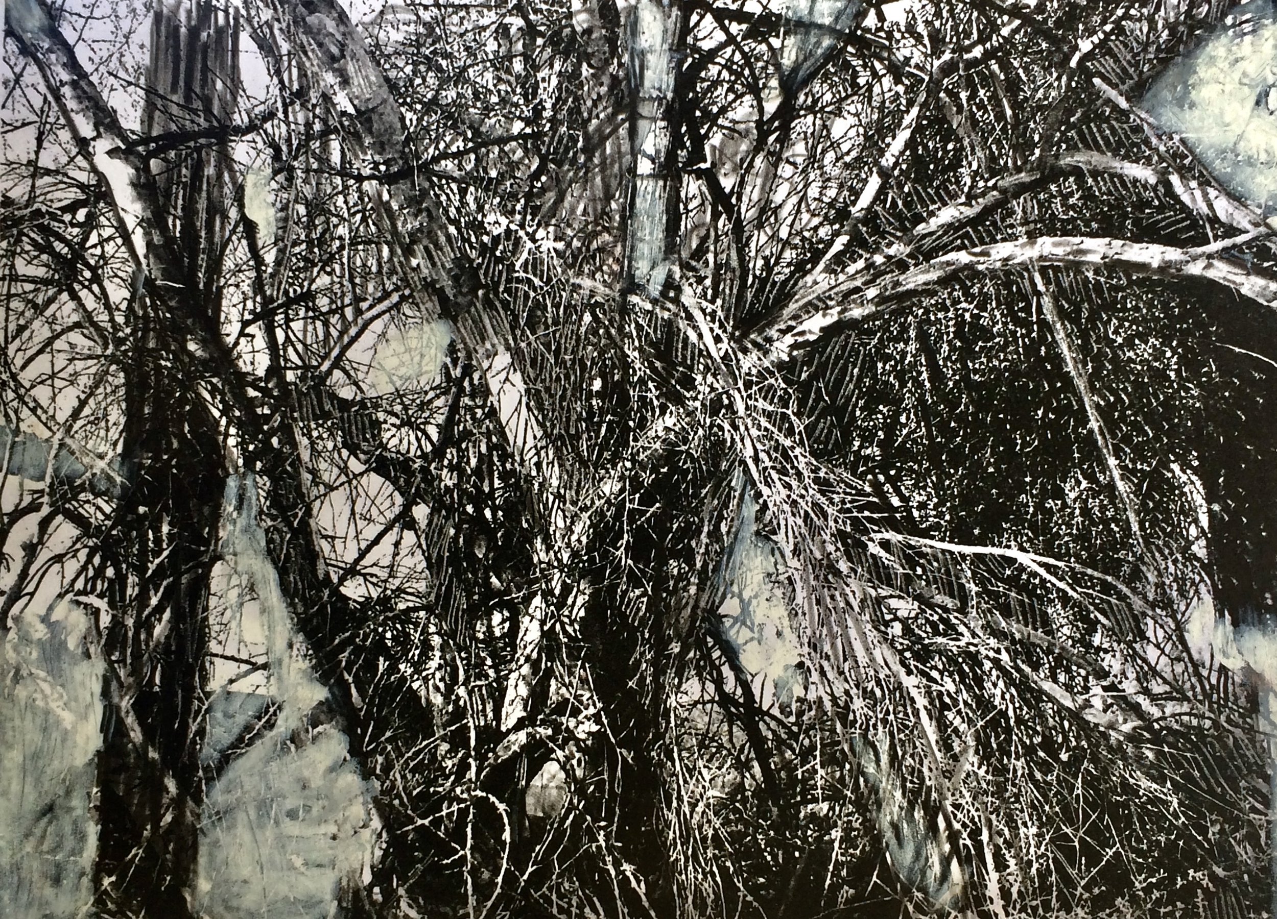 trees 133
