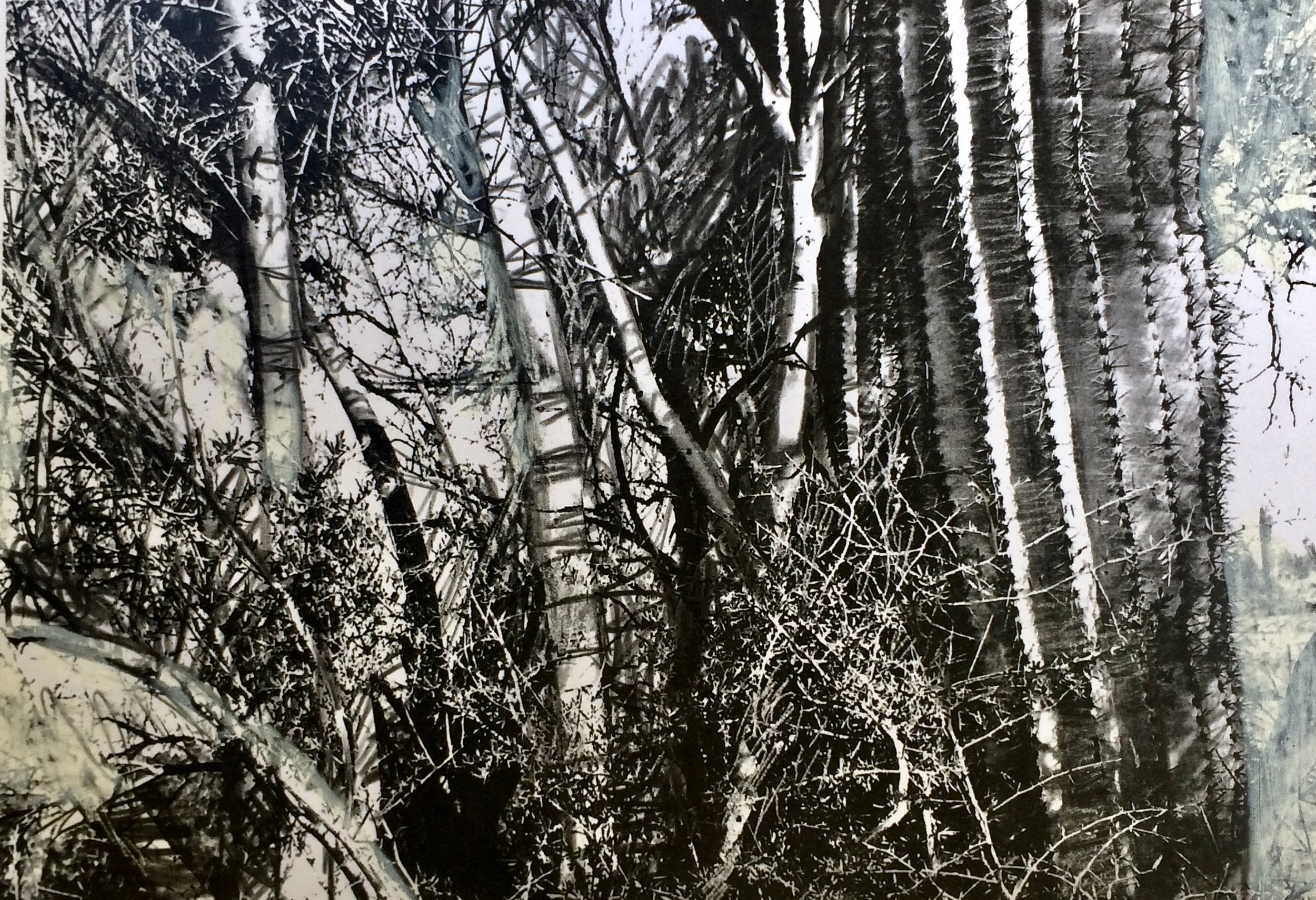 trees 134
