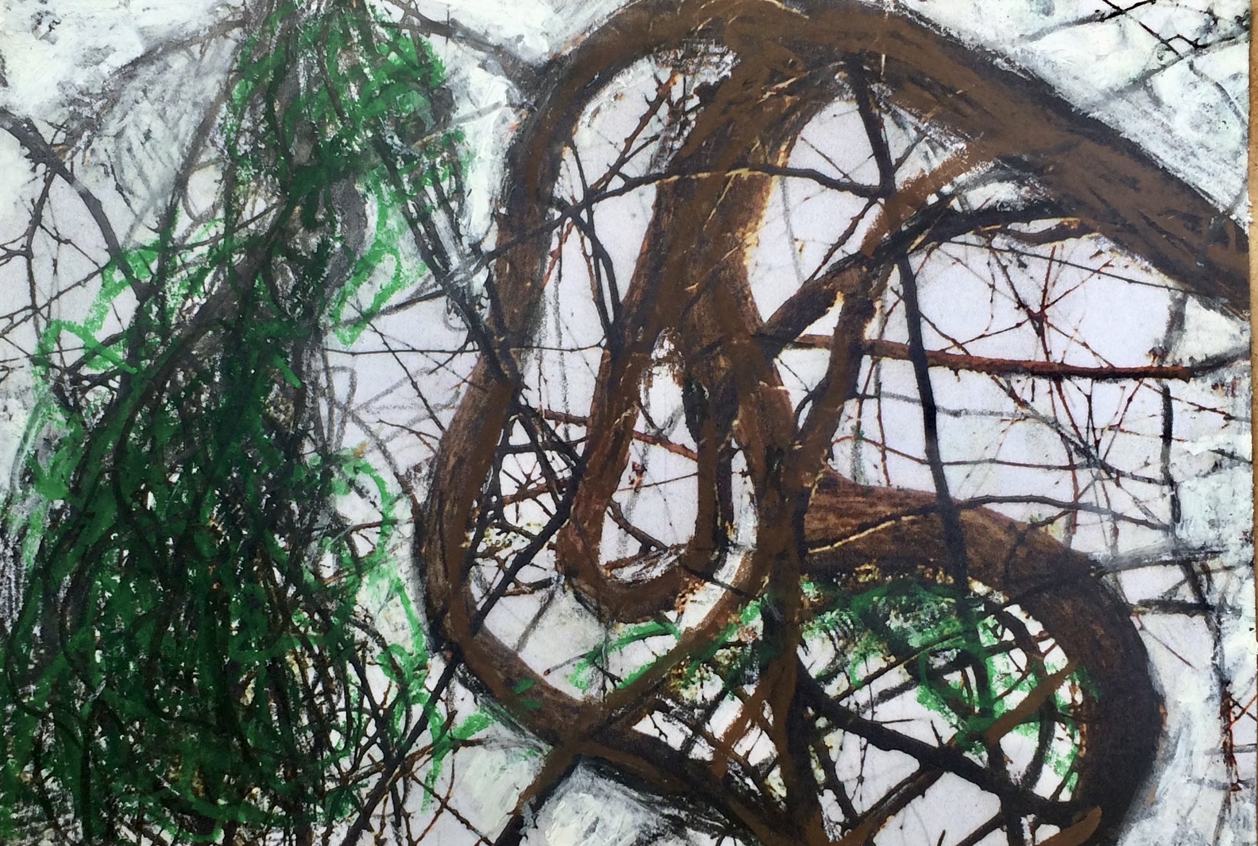 trees. 140