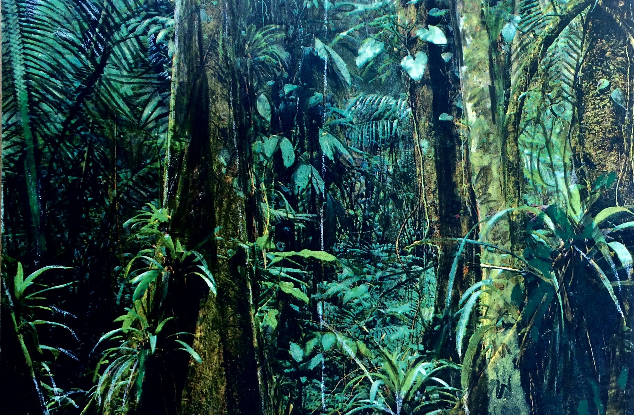 trees. 144