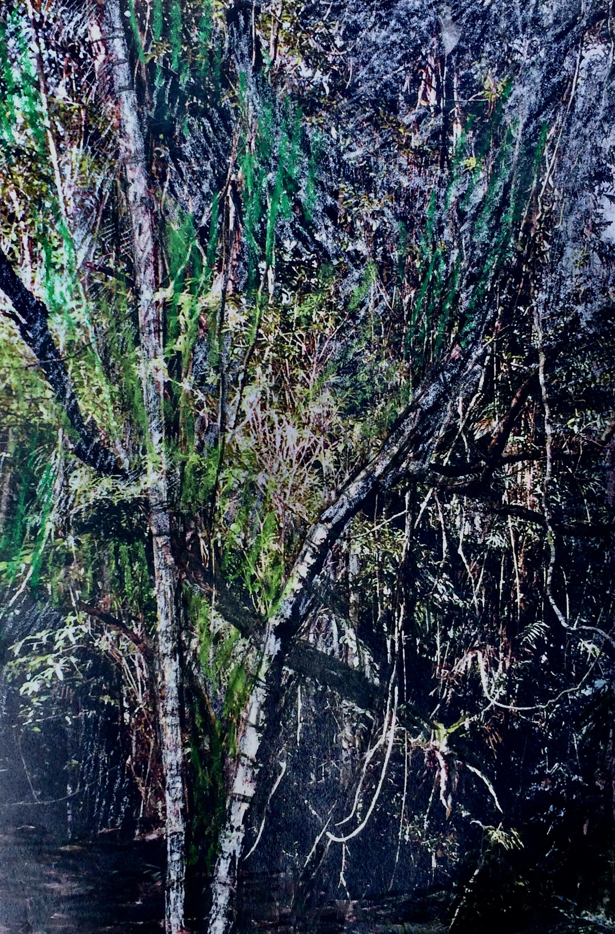 trees. 150