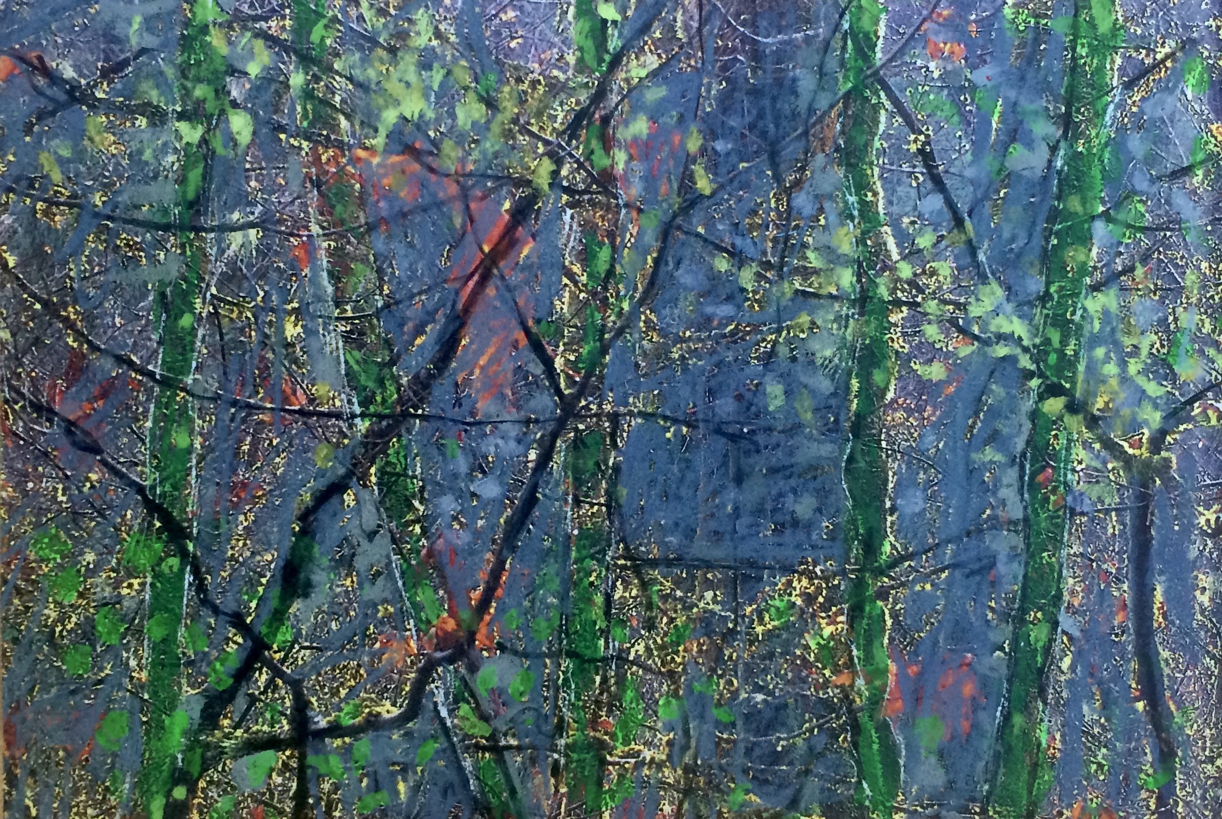 trees. 218