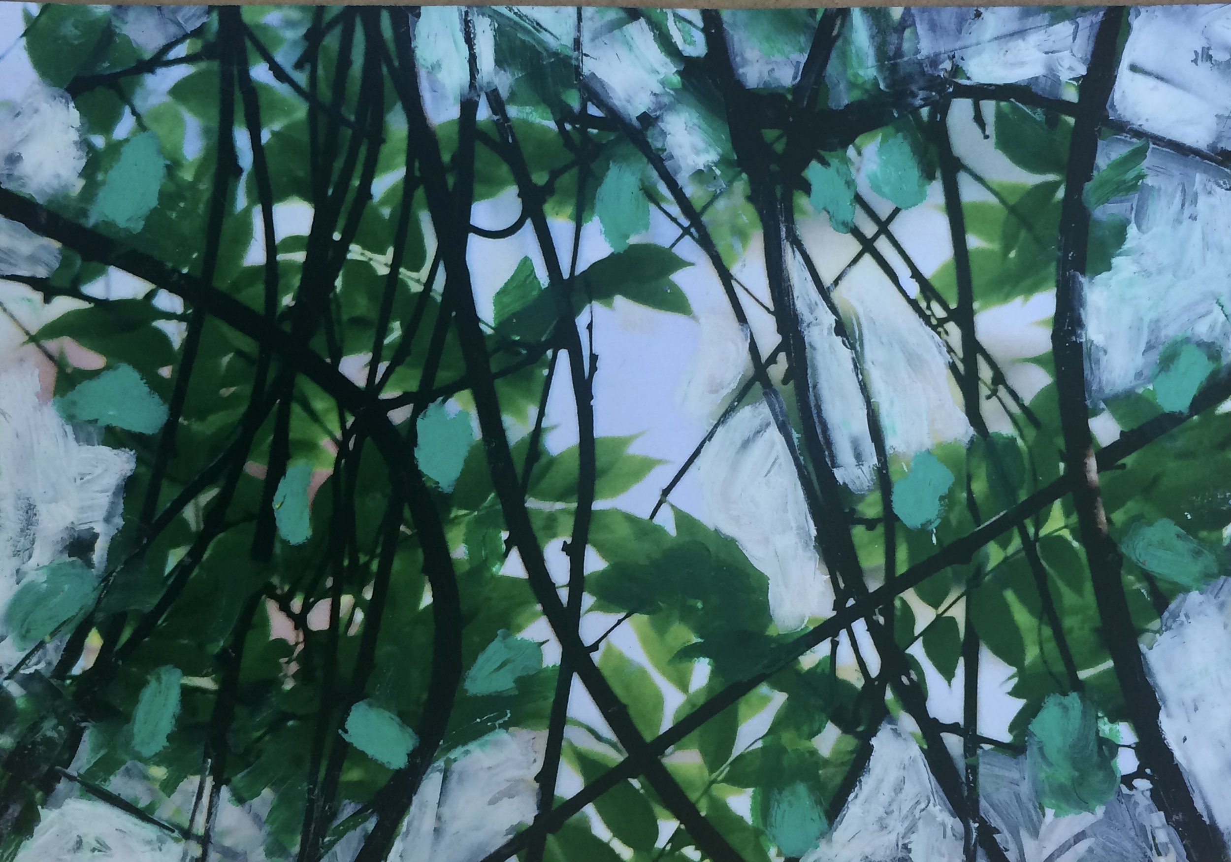 trees. 226