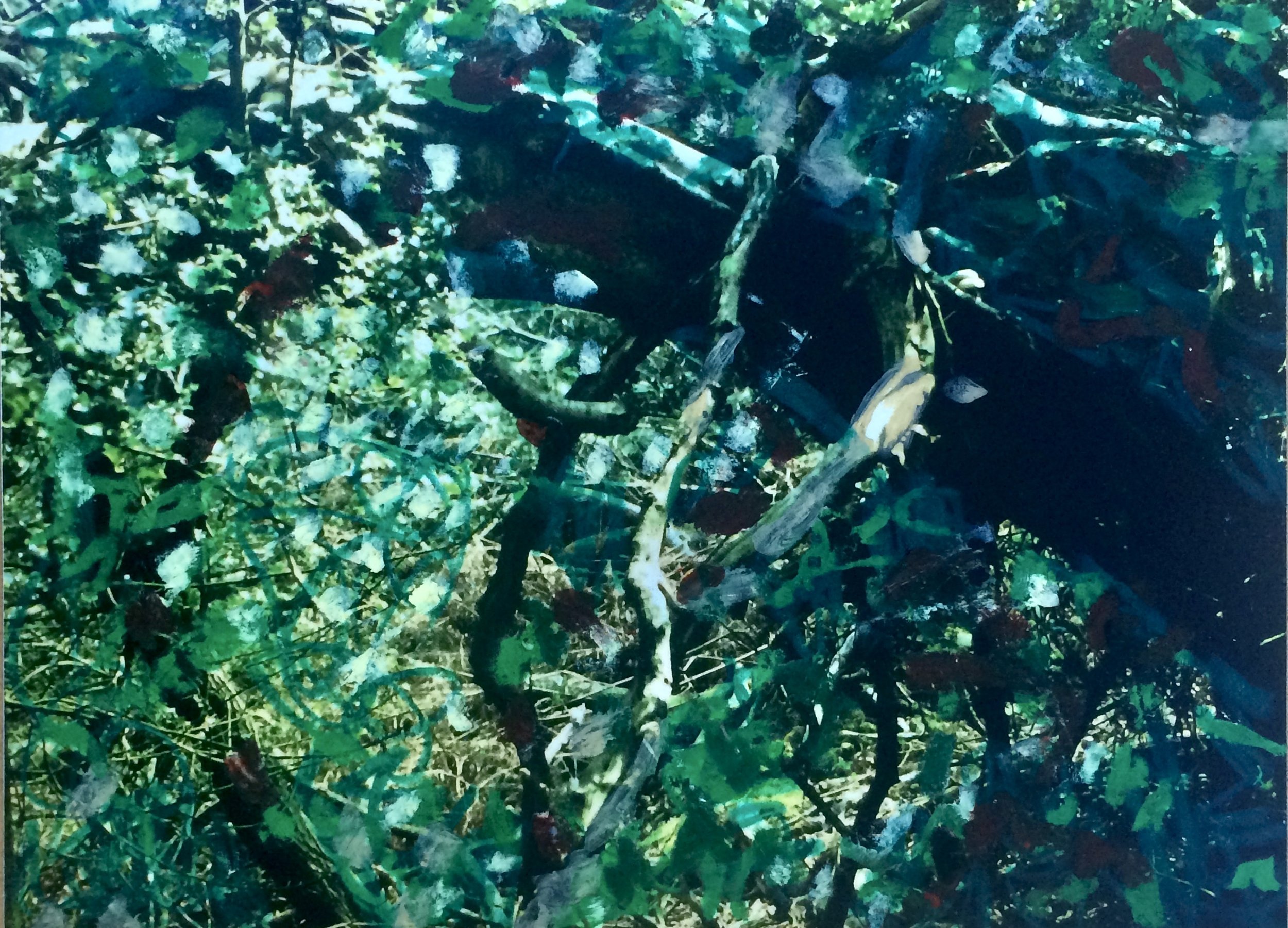 trees. 235