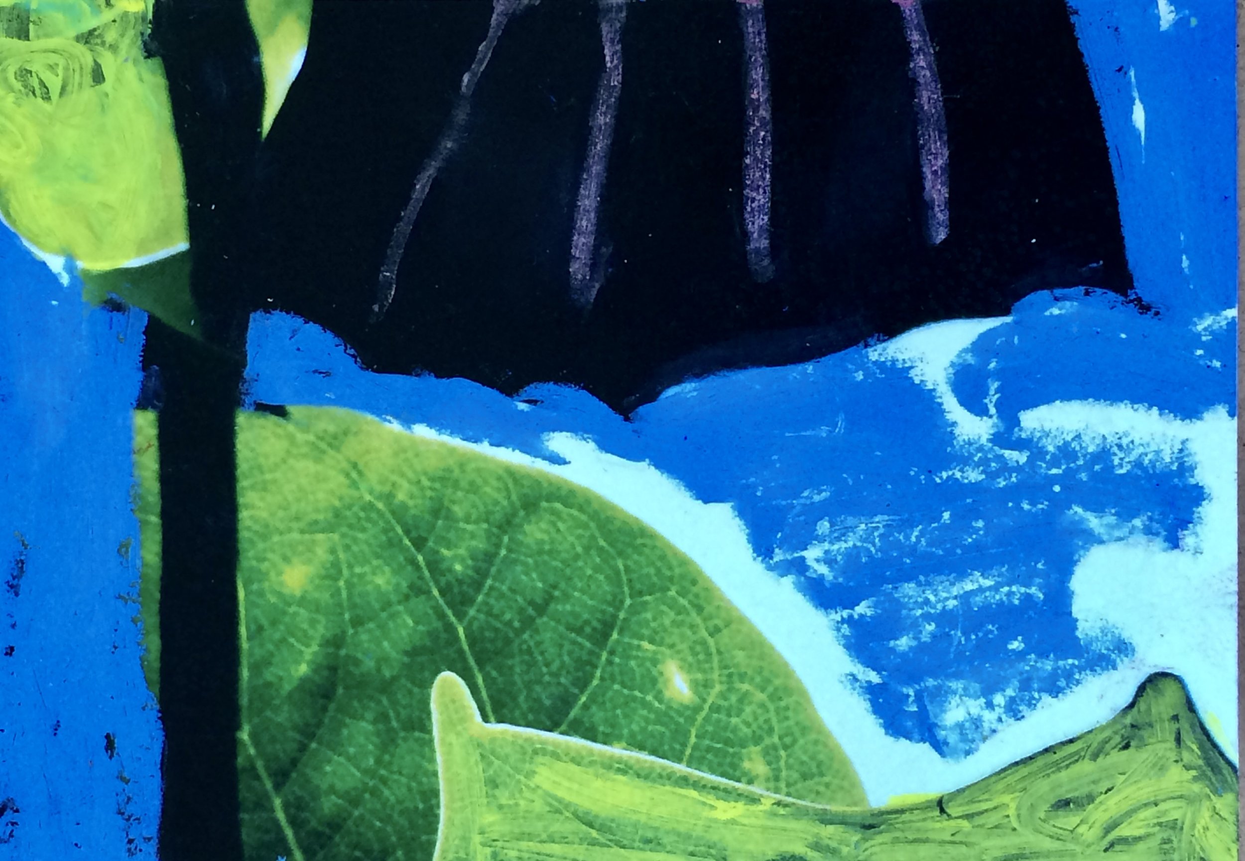 plants 48
