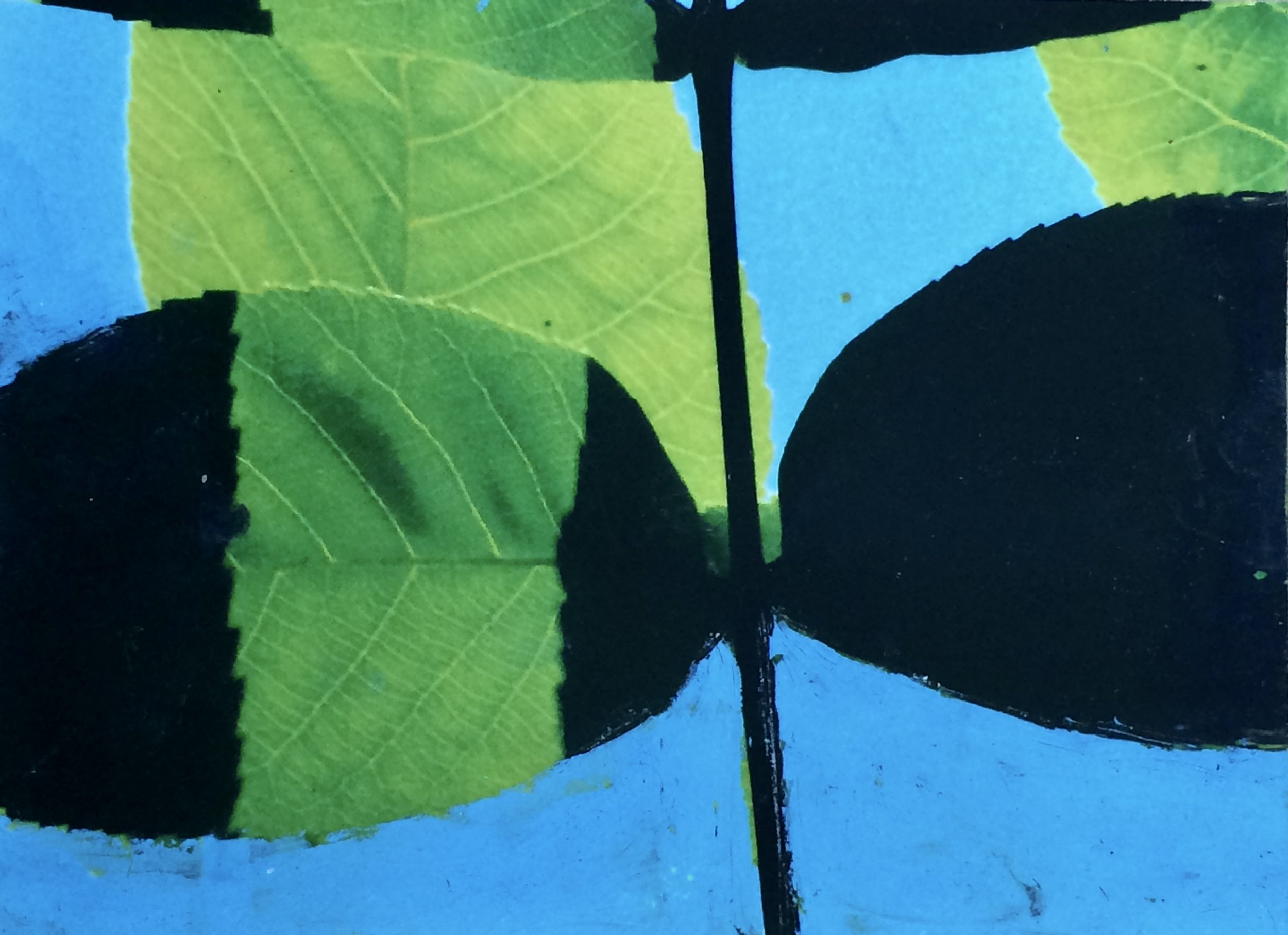 plants. 49
