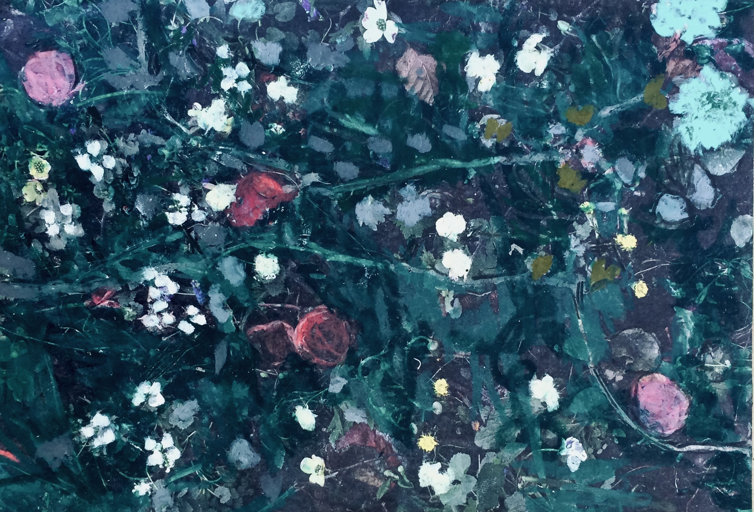 trees. 243