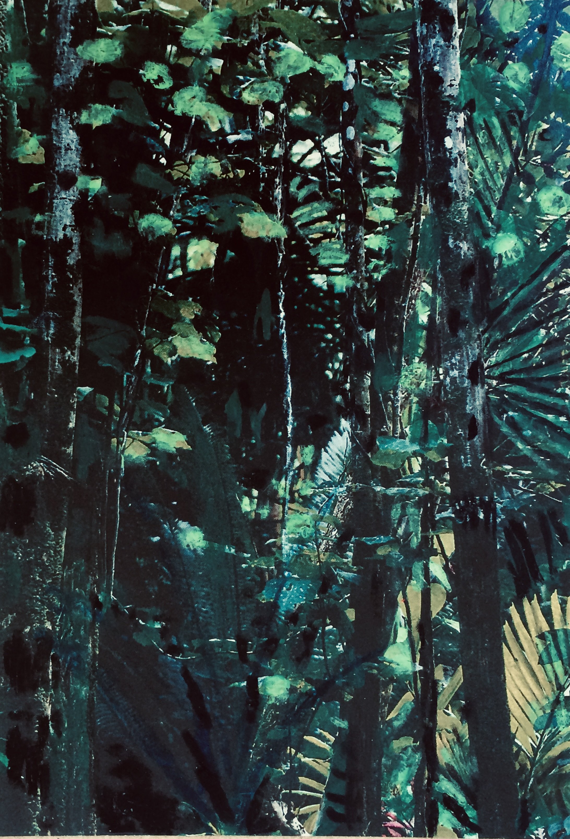 trees. 244