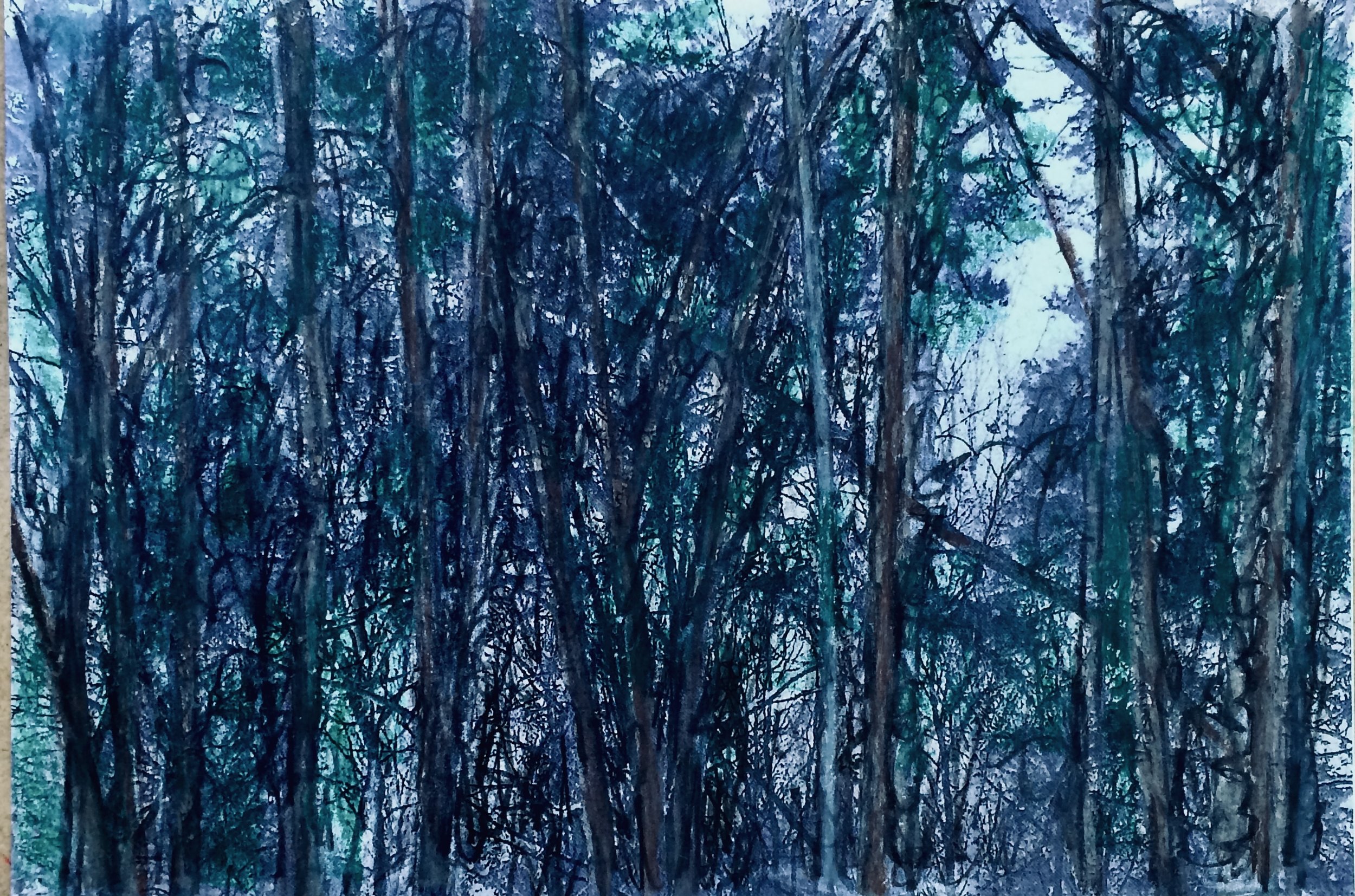 trees. 246