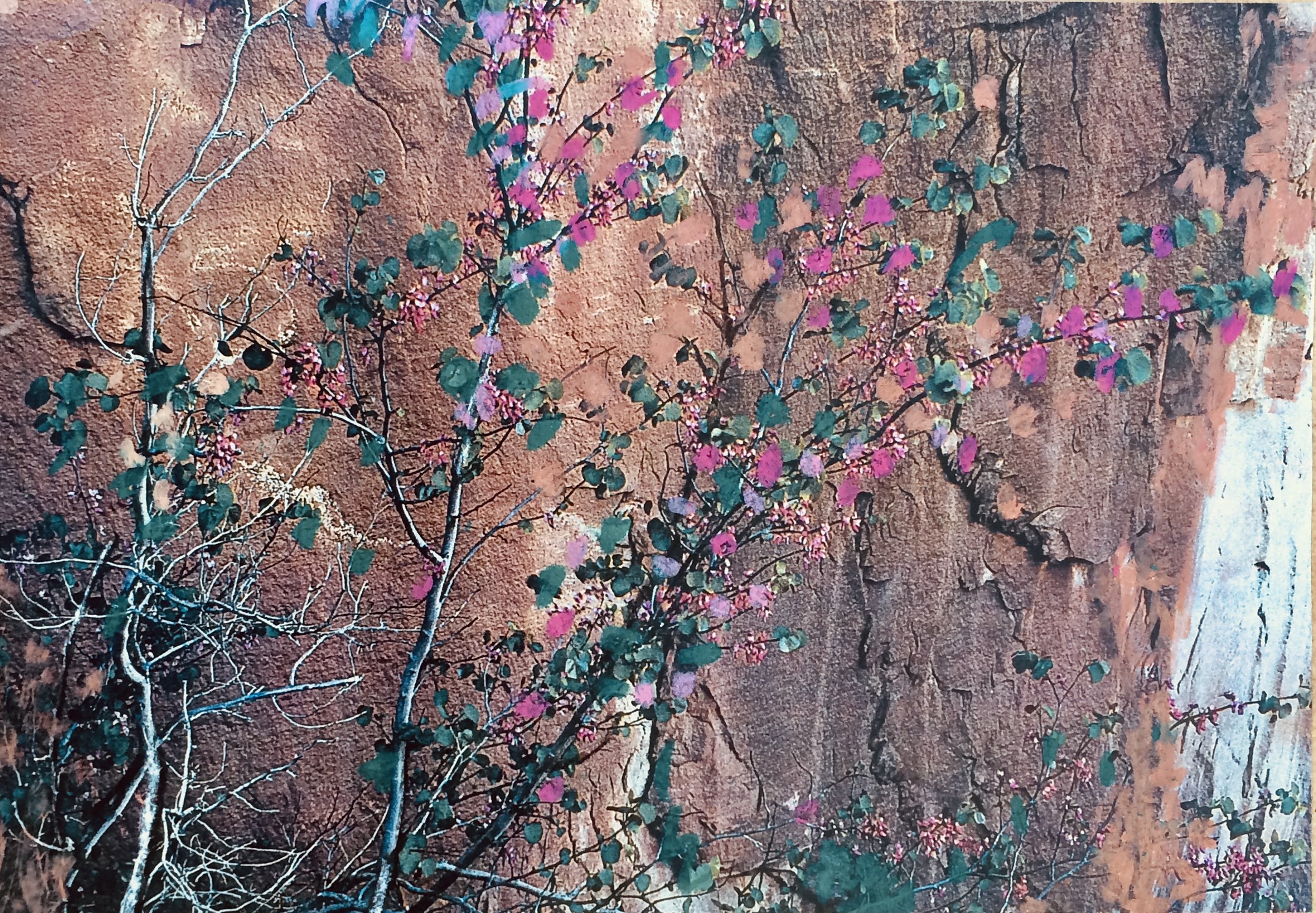 trees 249