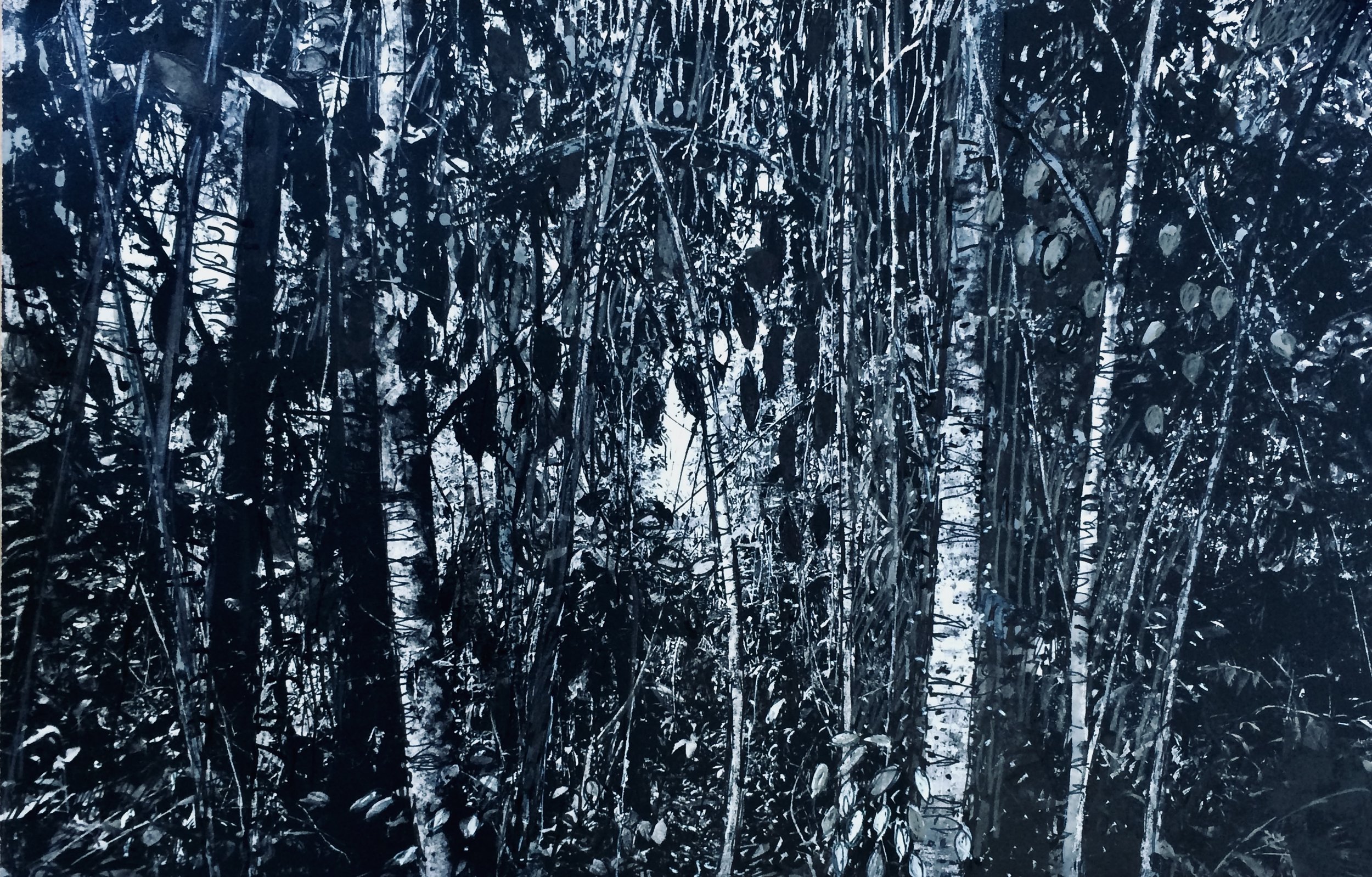 trees. 252