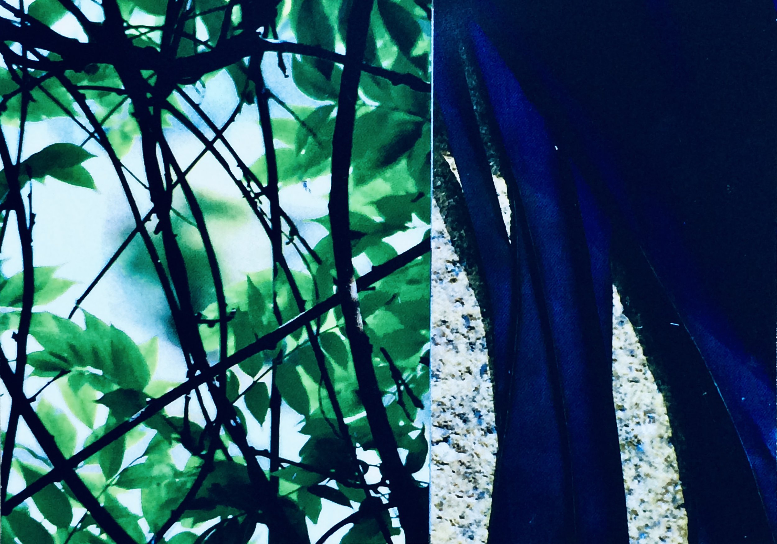 plants. 53