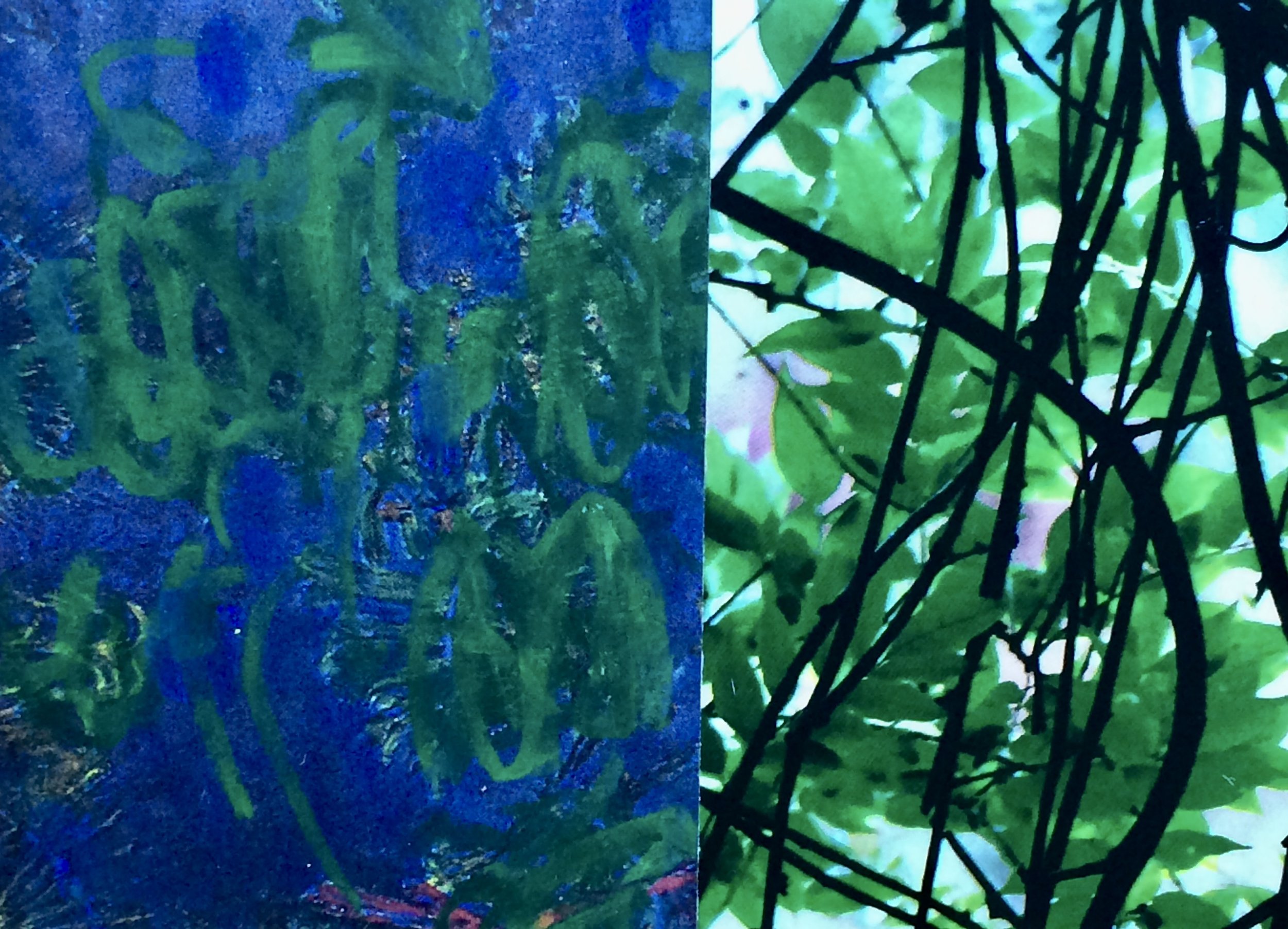 plants. 55