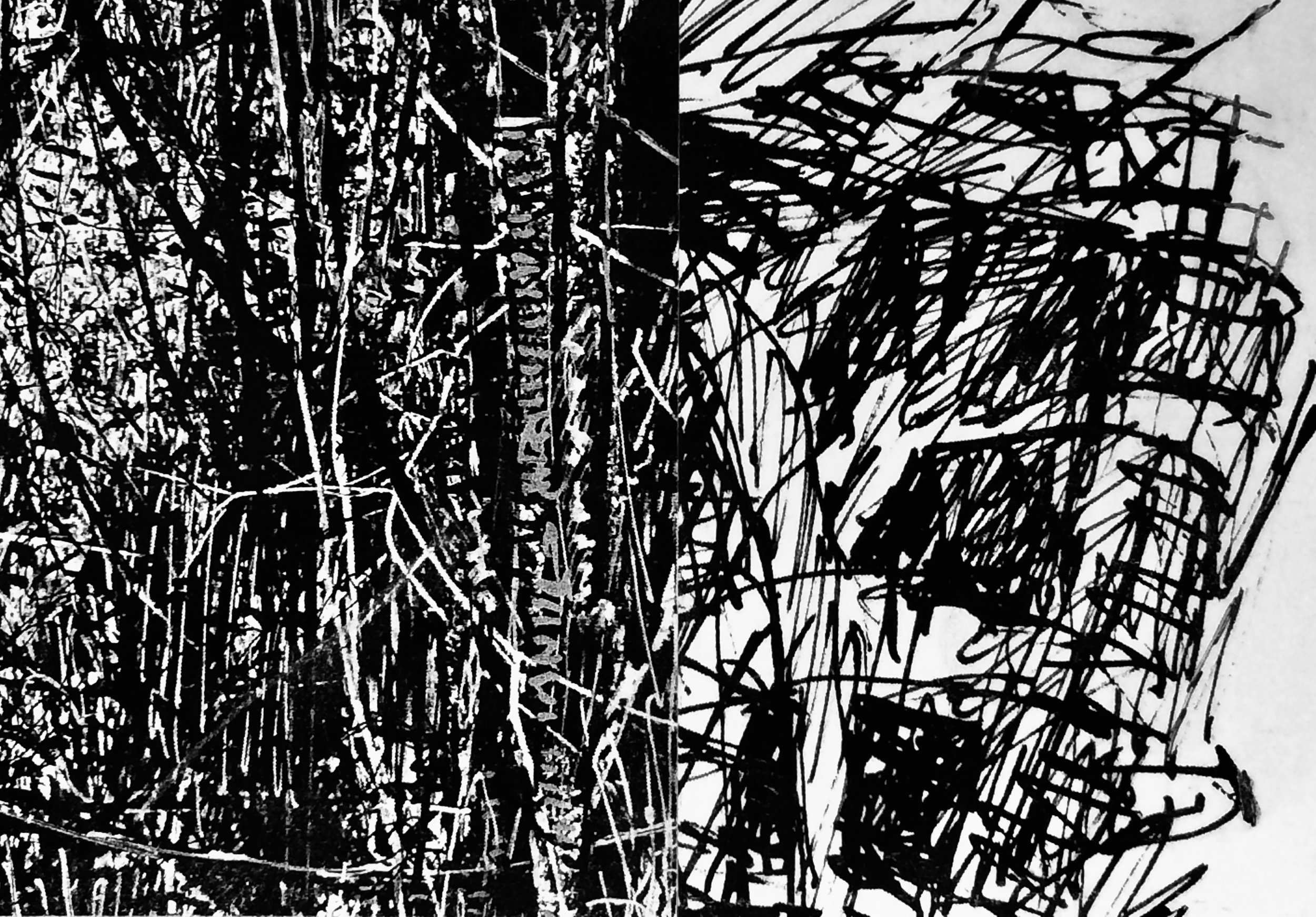plants. 65