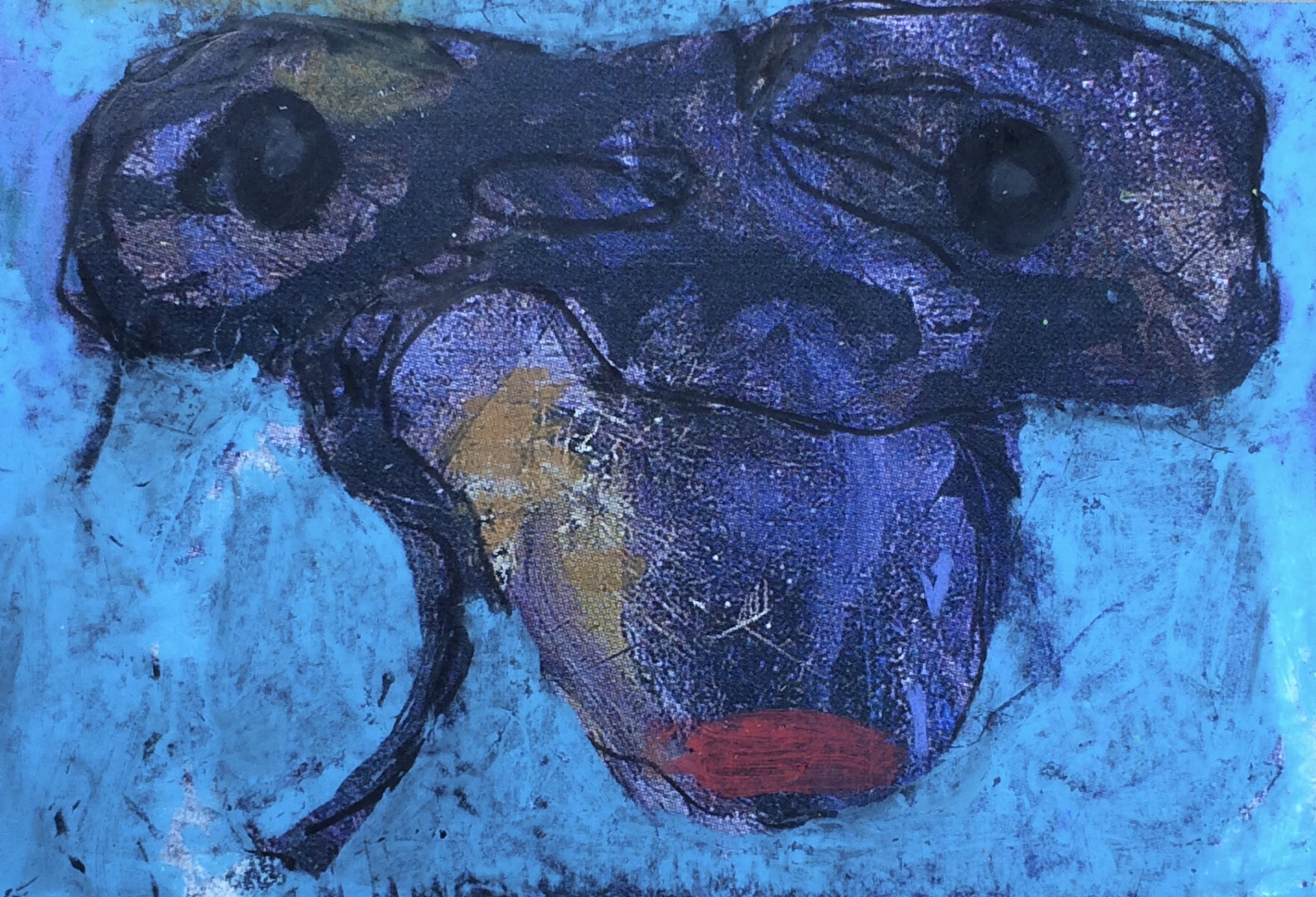 animals. 195