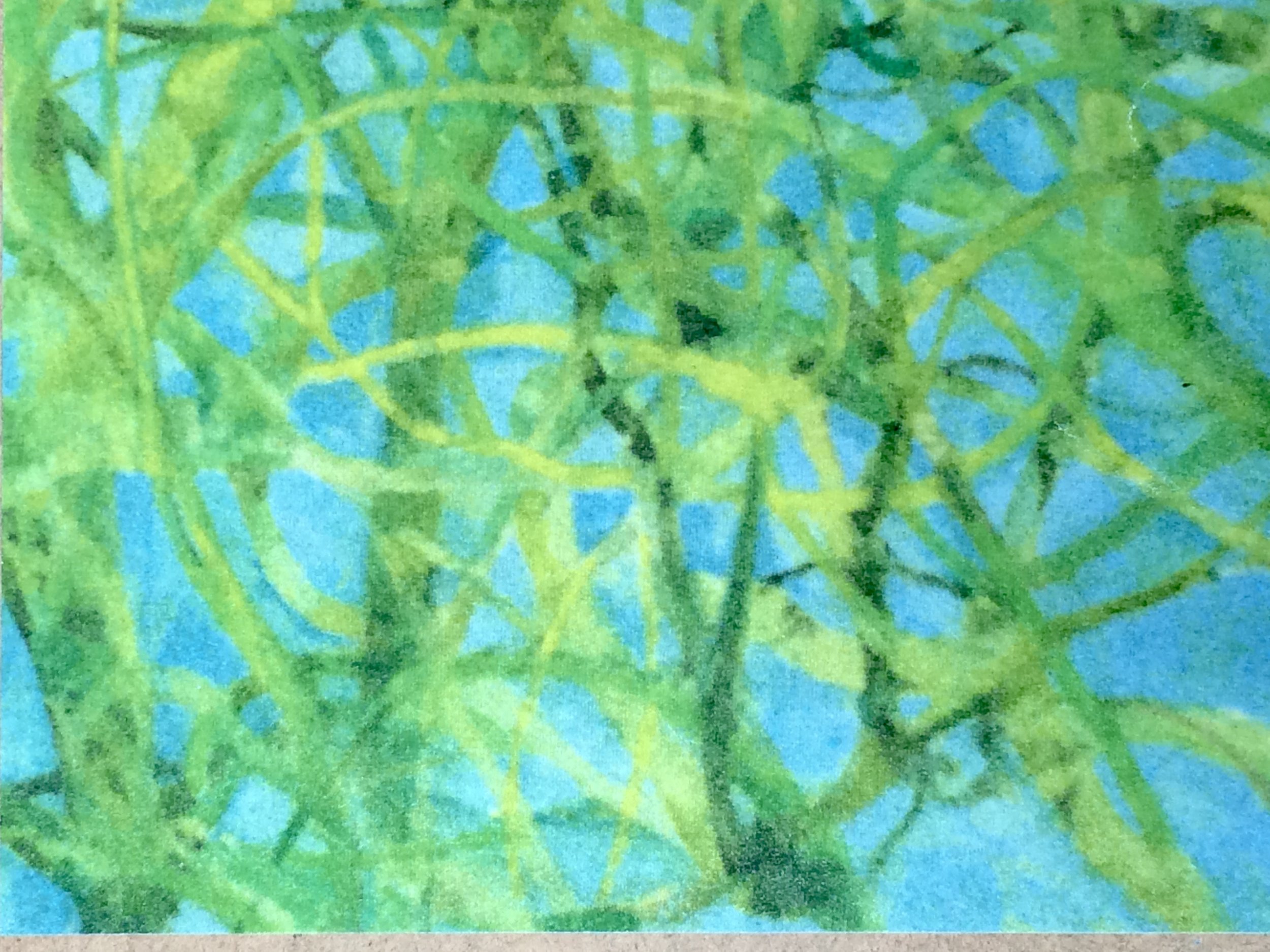 plants 67