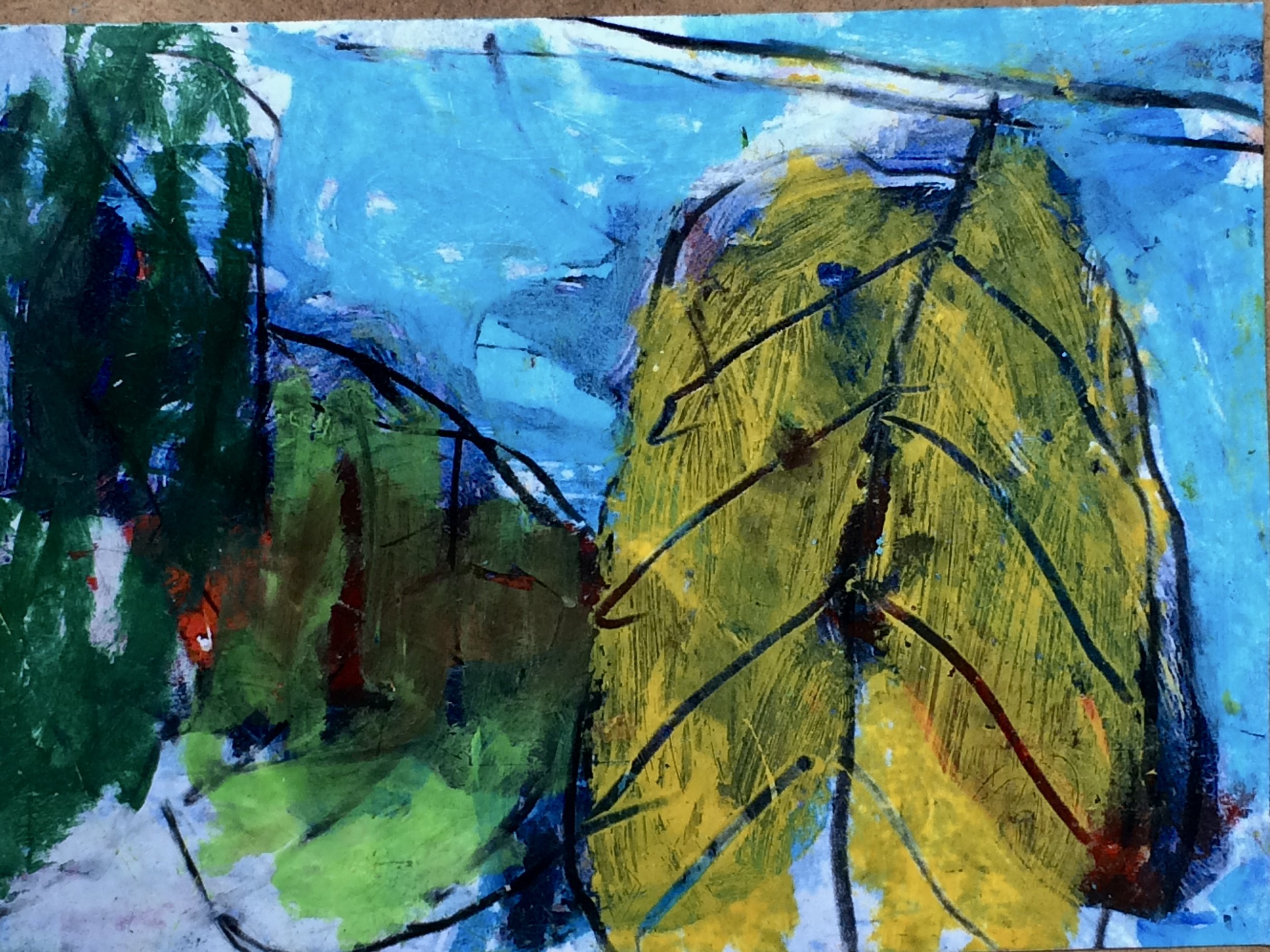 plants 79