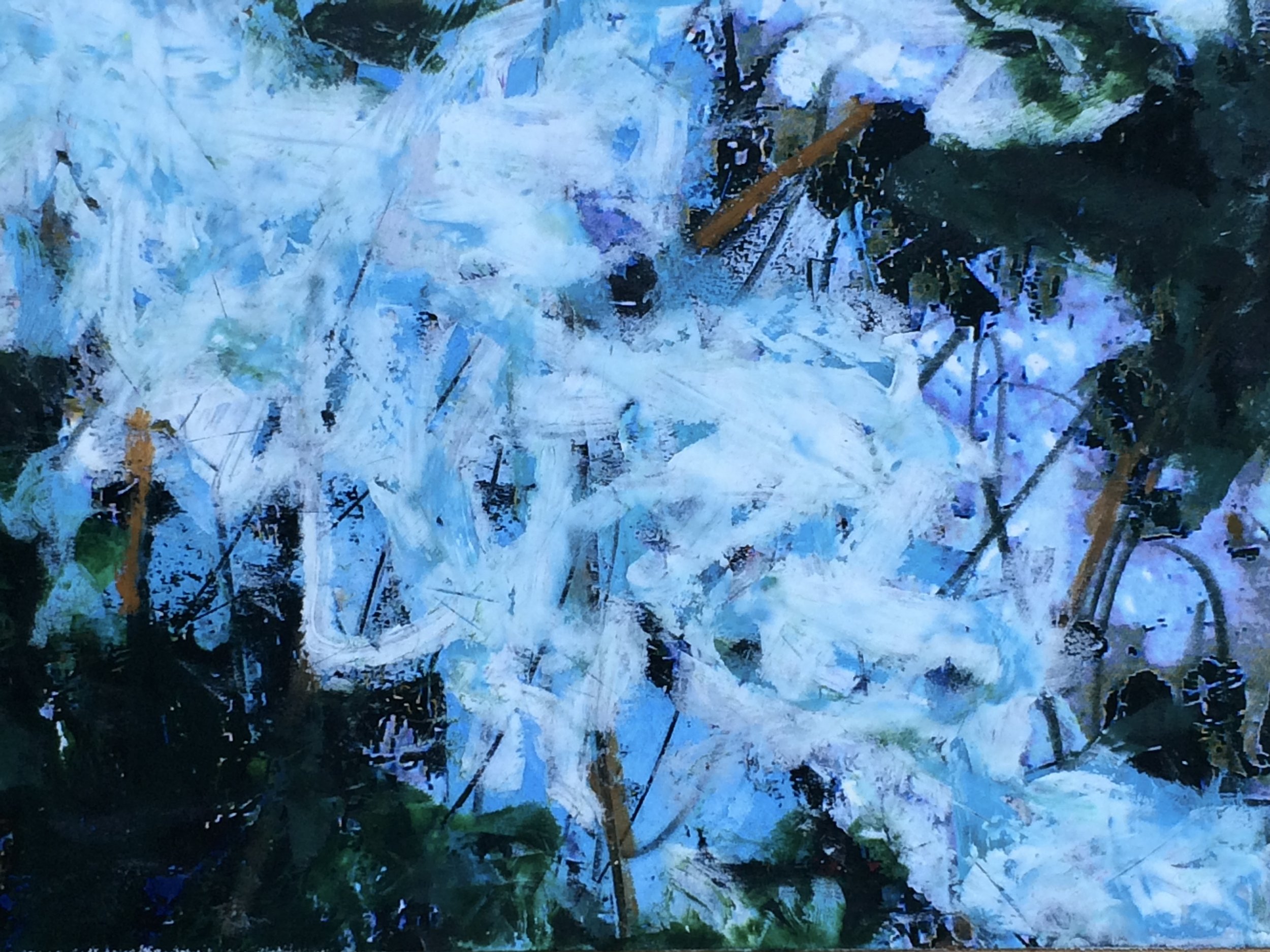streams 30