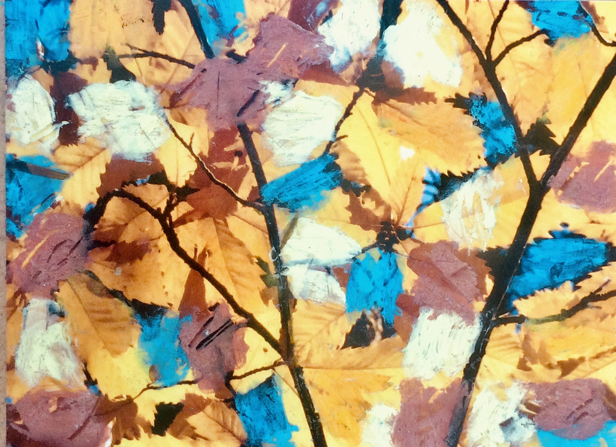 trees. 253