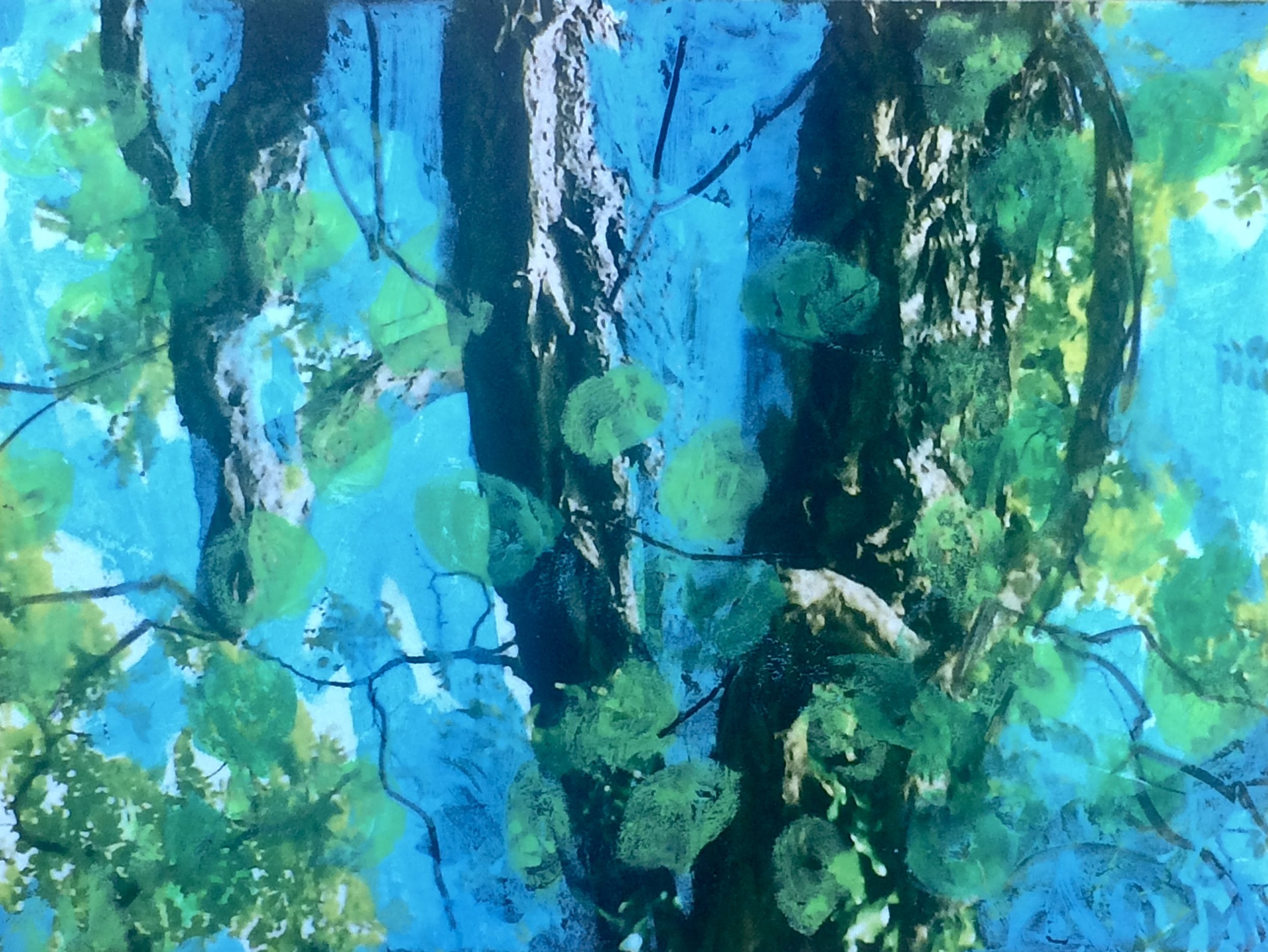 trees. 257