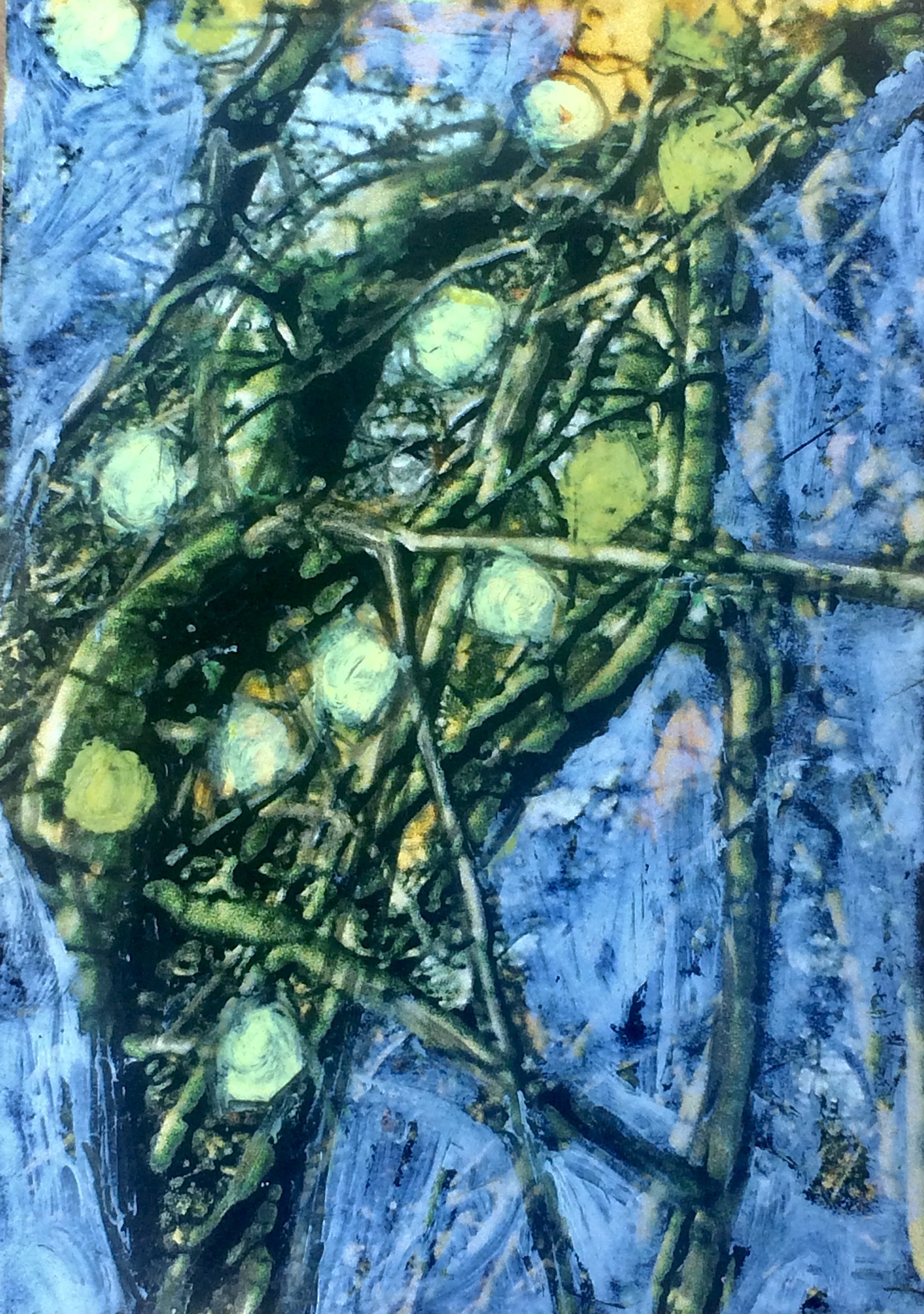 trees. 258