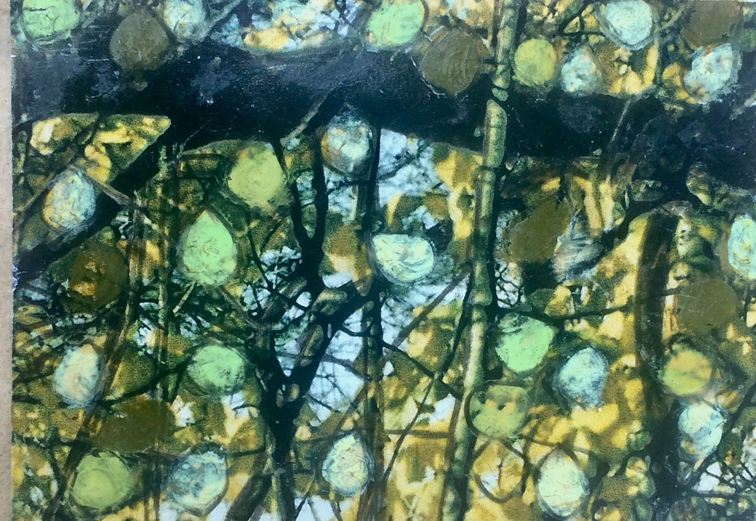 trees 259
