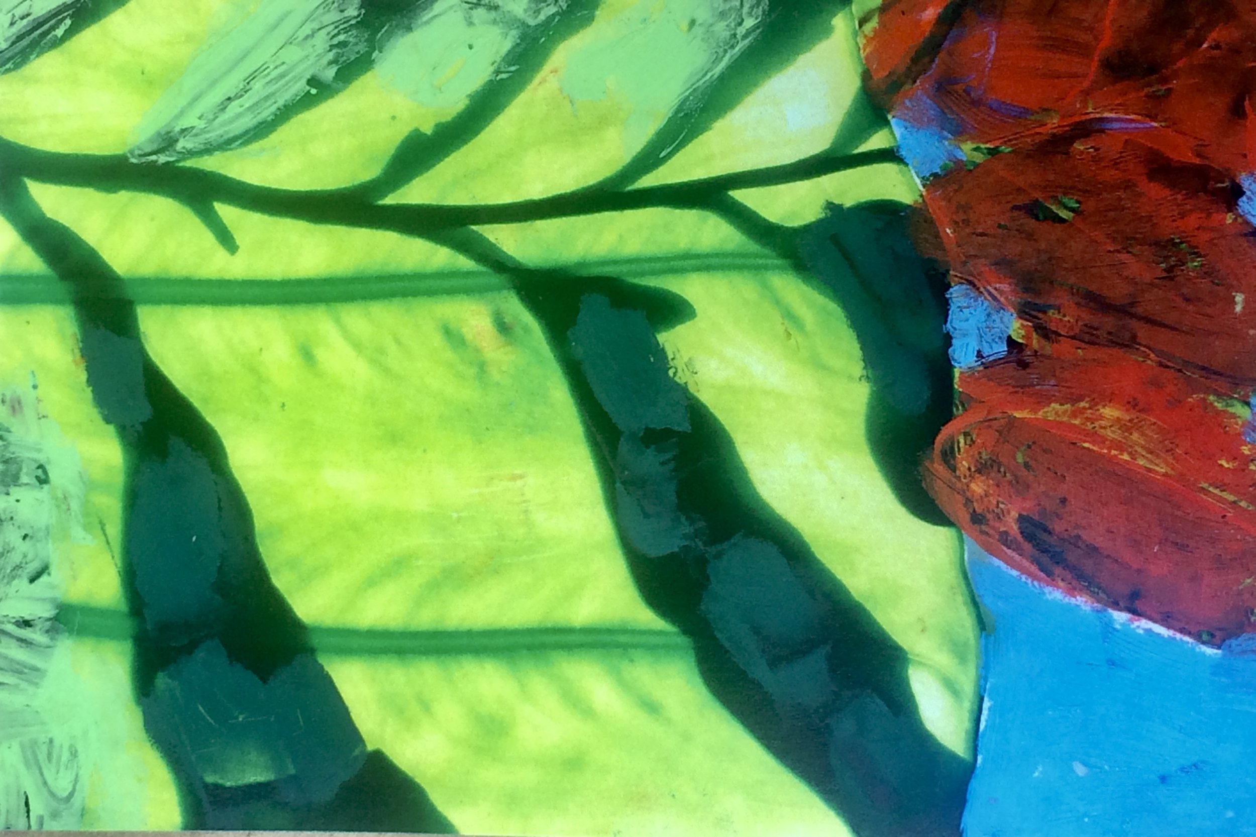 plants 114