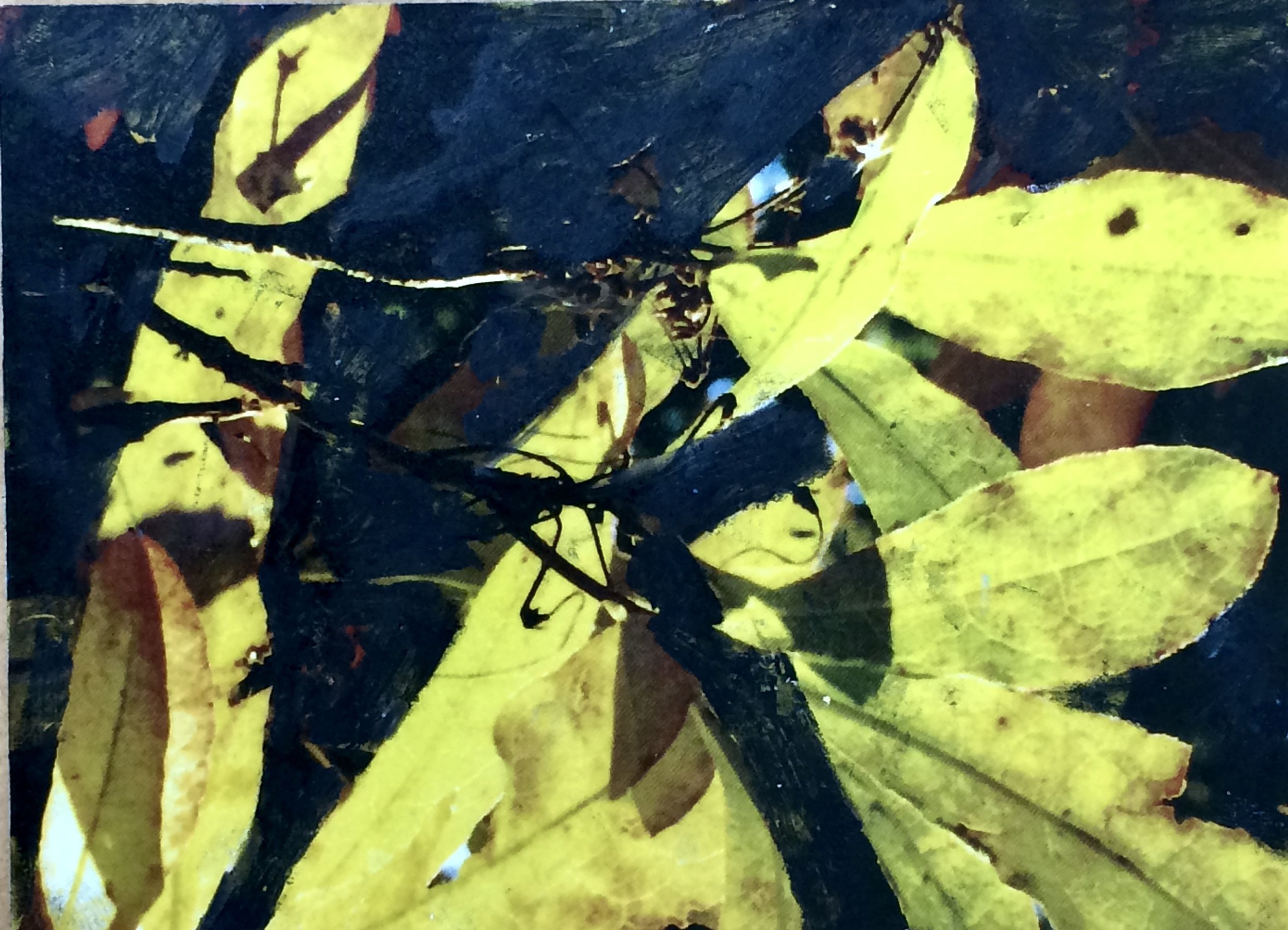 plants. 123