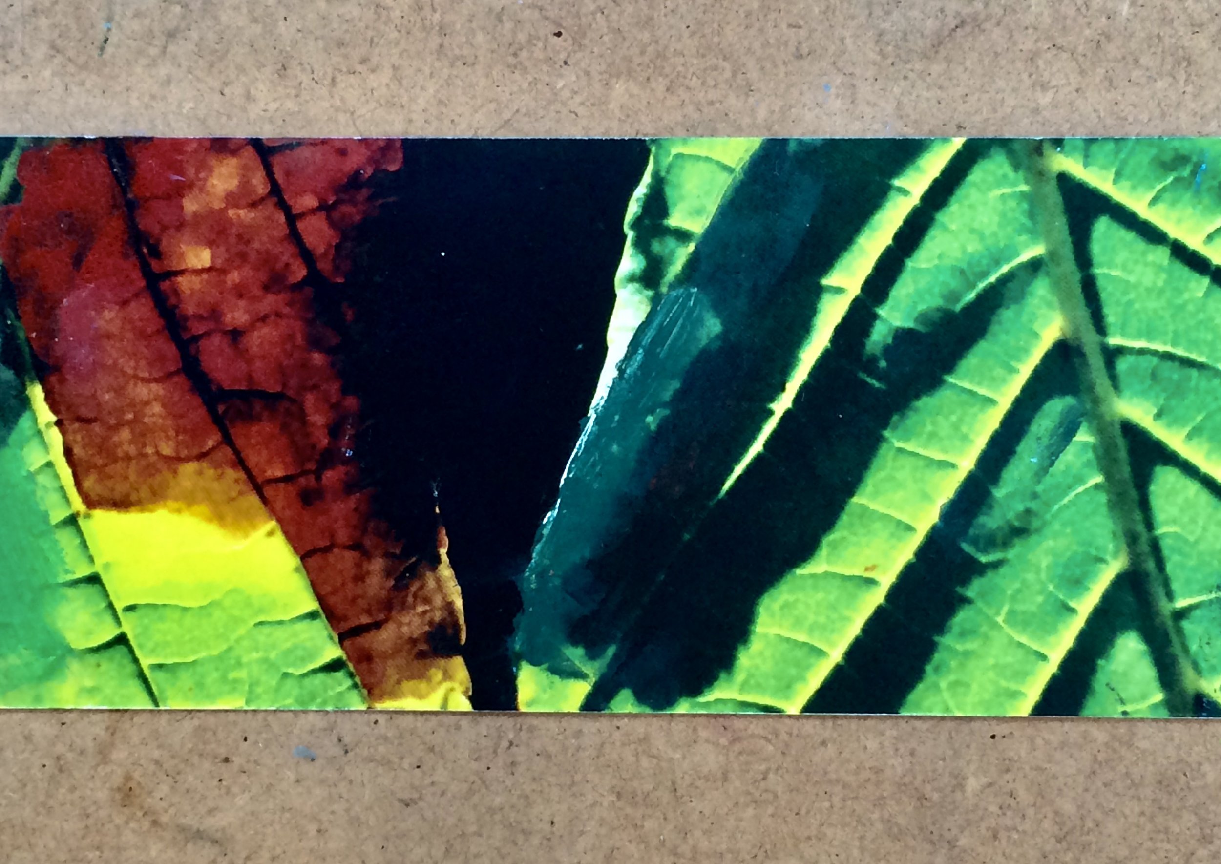 plants. 129