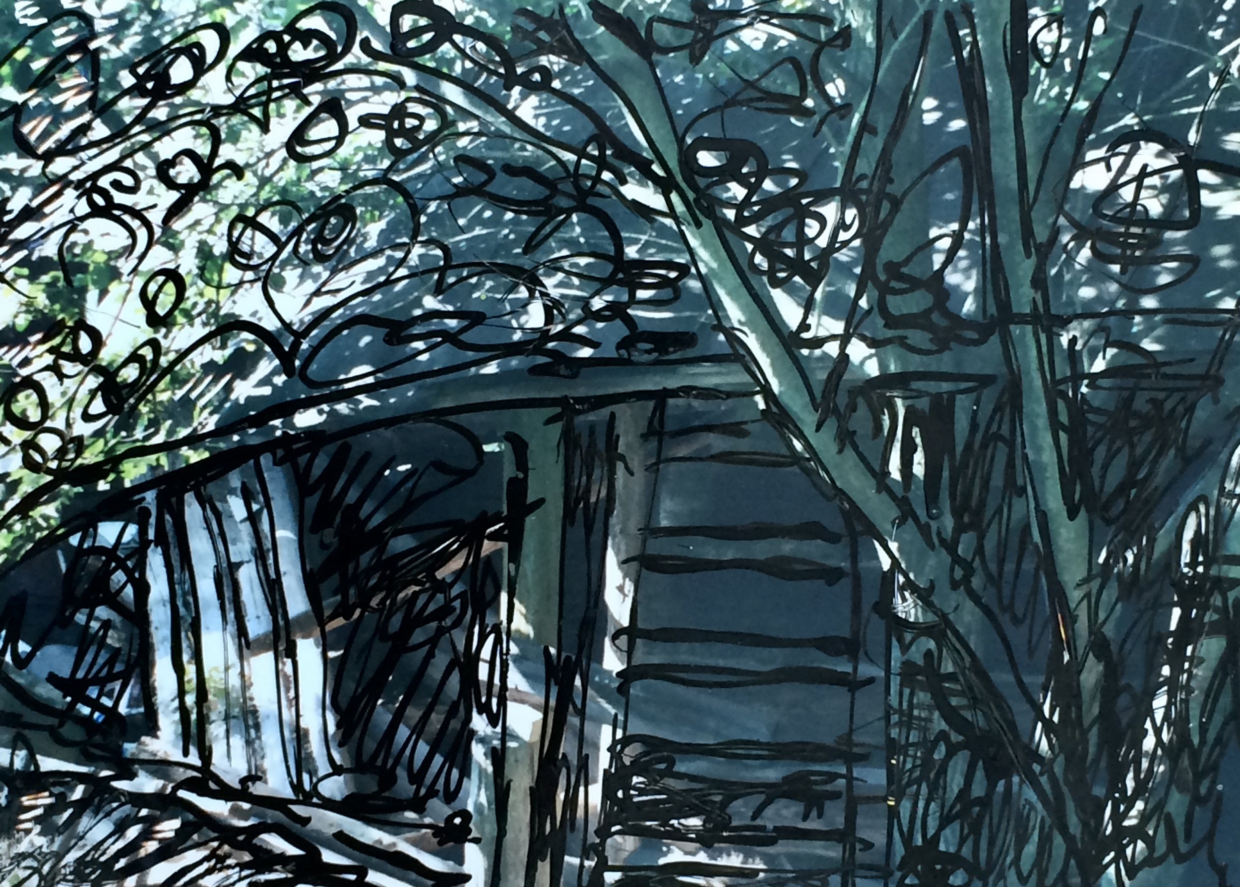 trees. 263