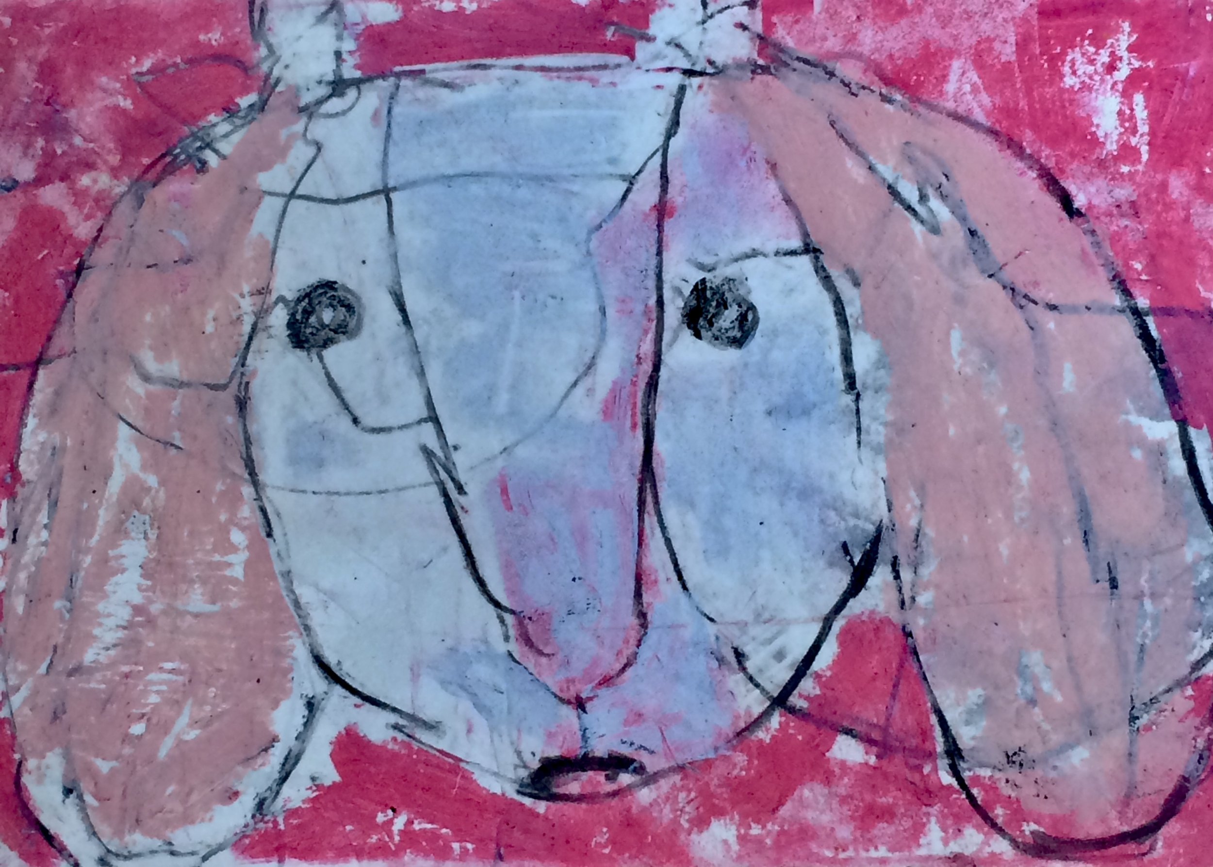 animals. 208