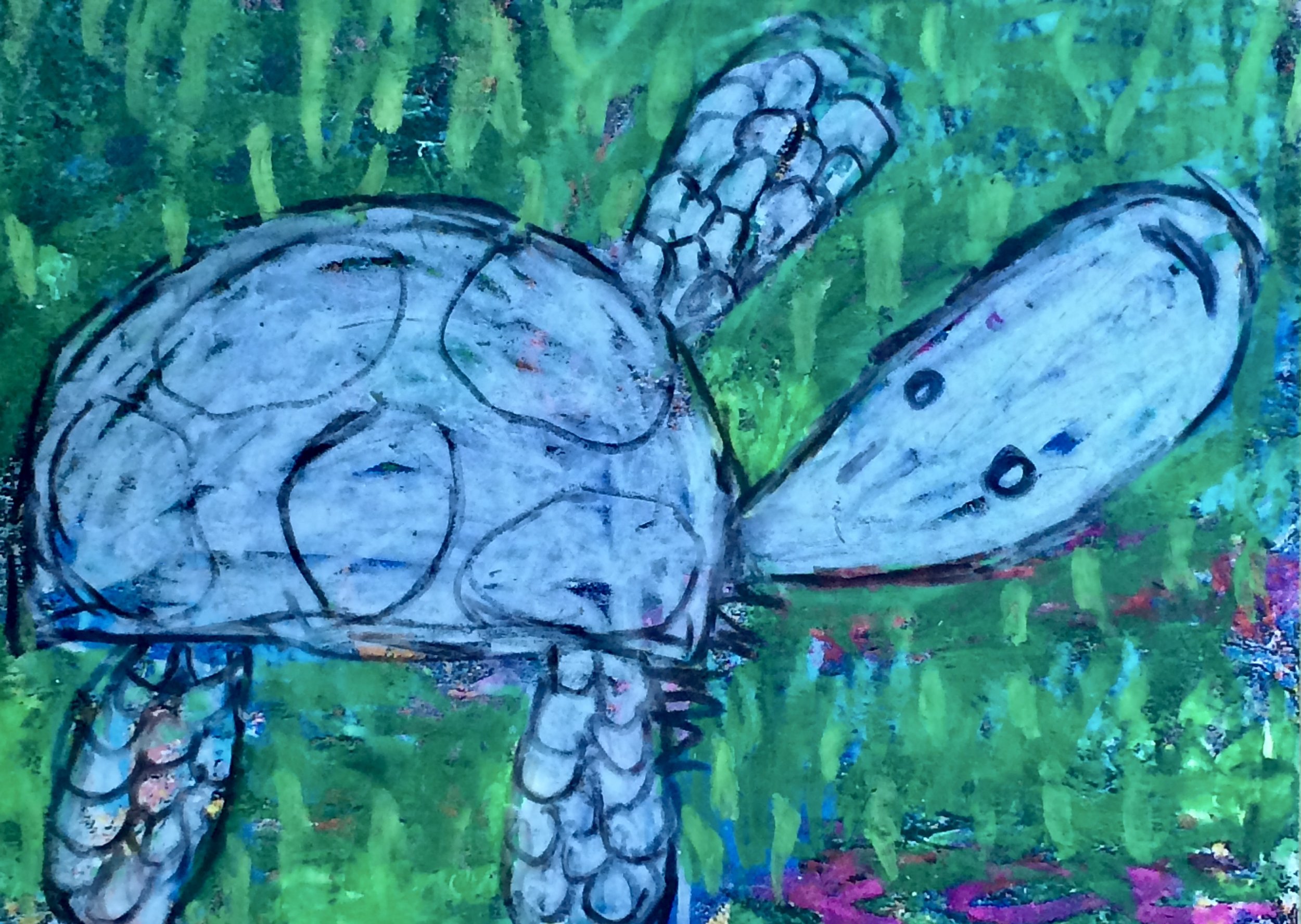 animals 212