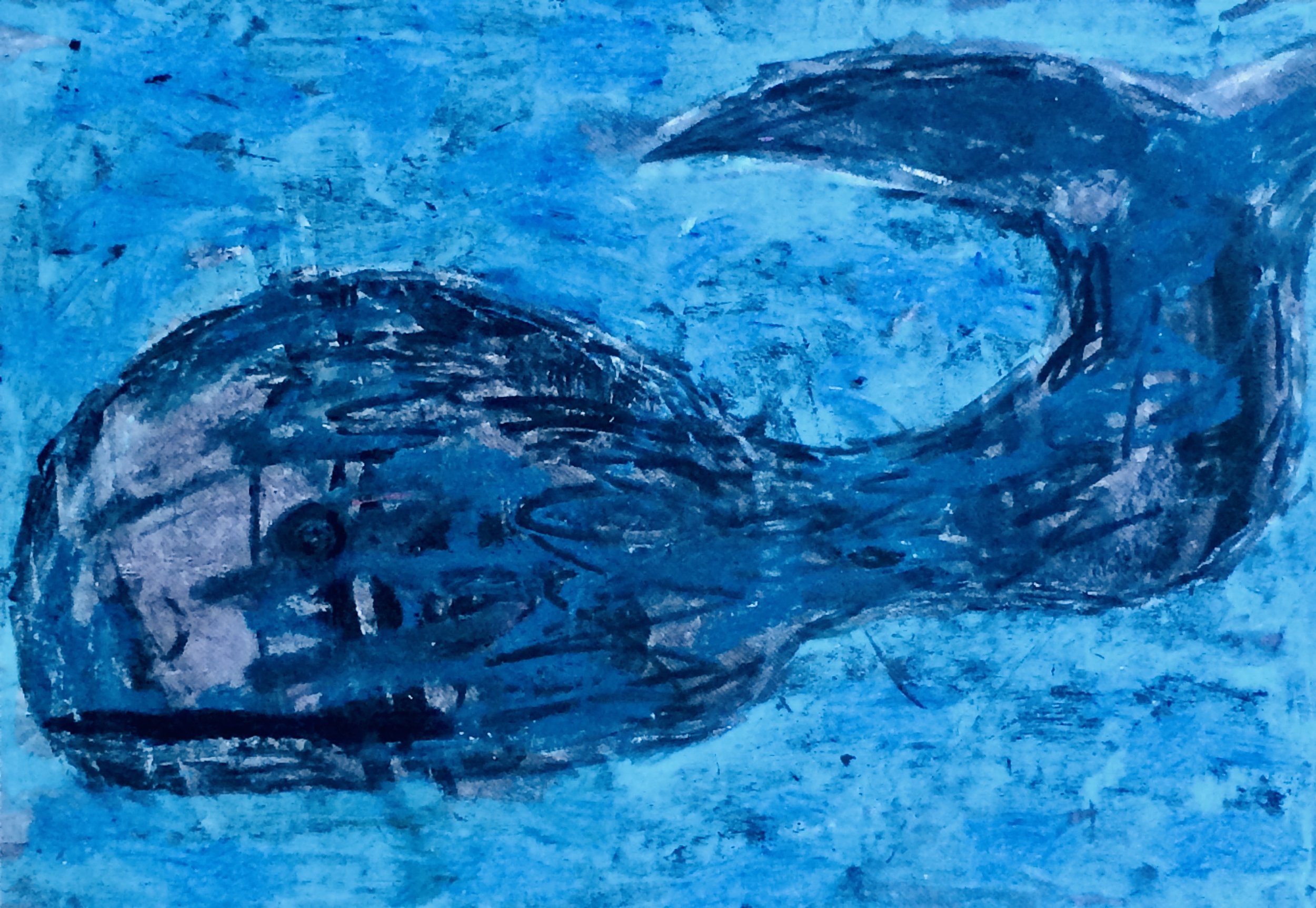 animals. 216