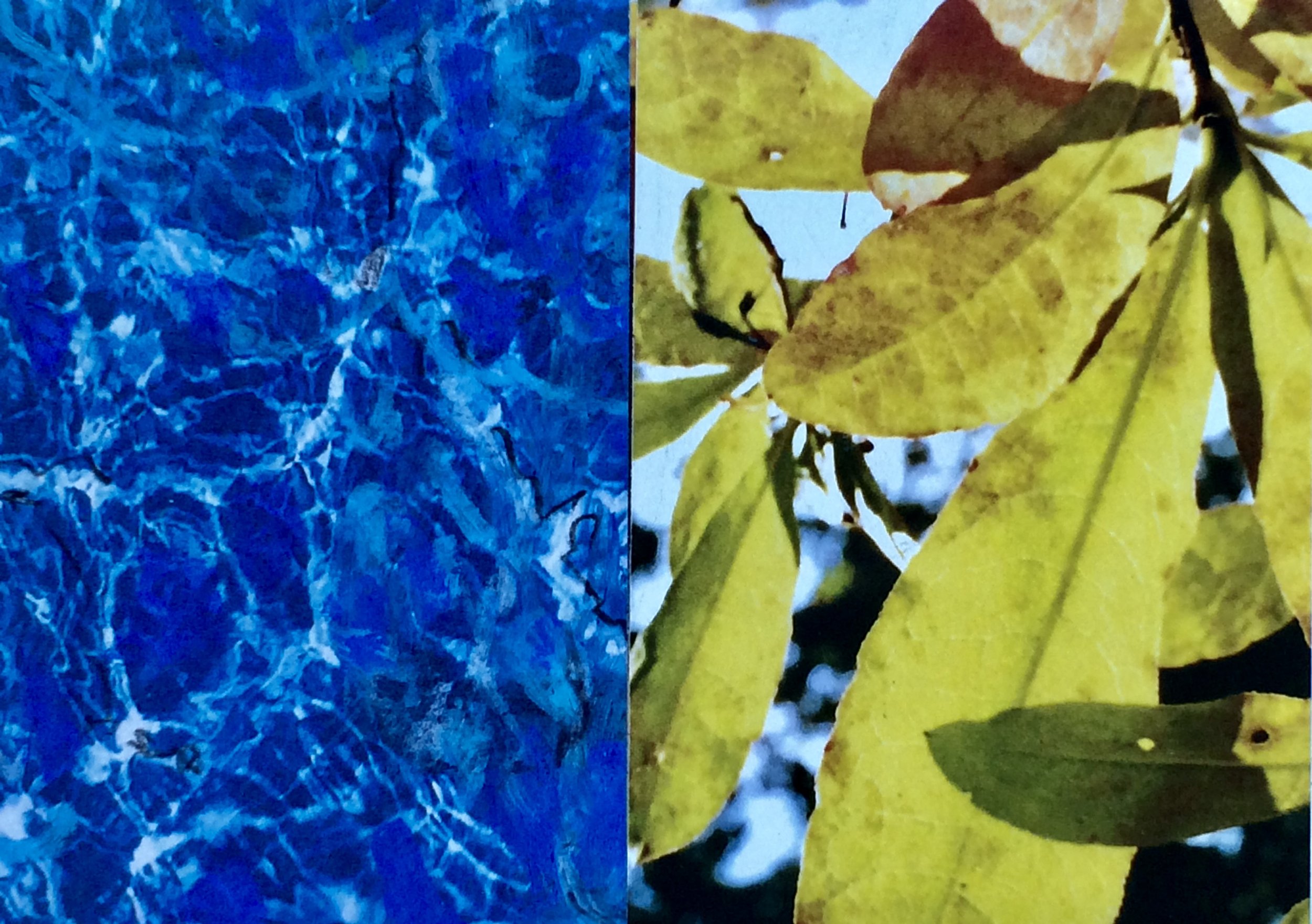 plants. 131