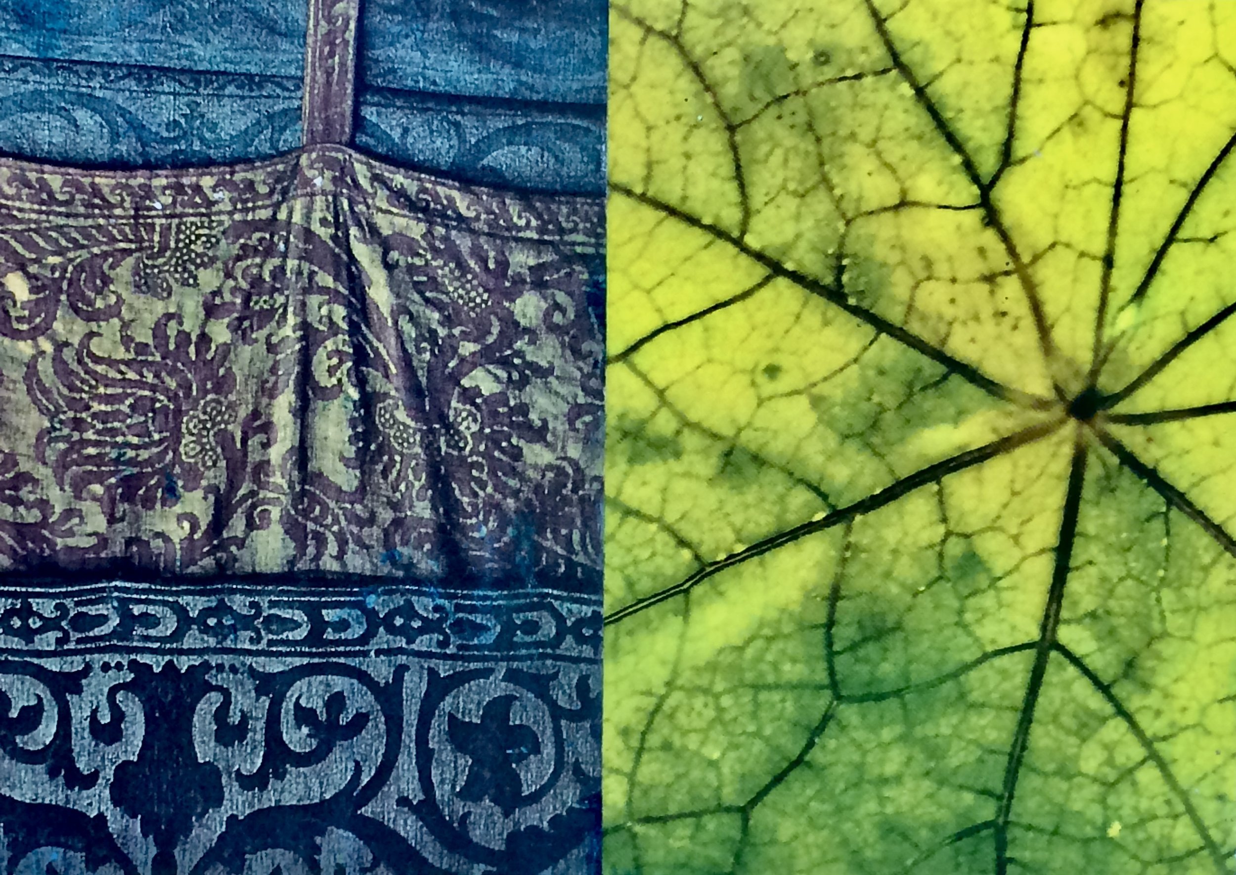 plants. 134
