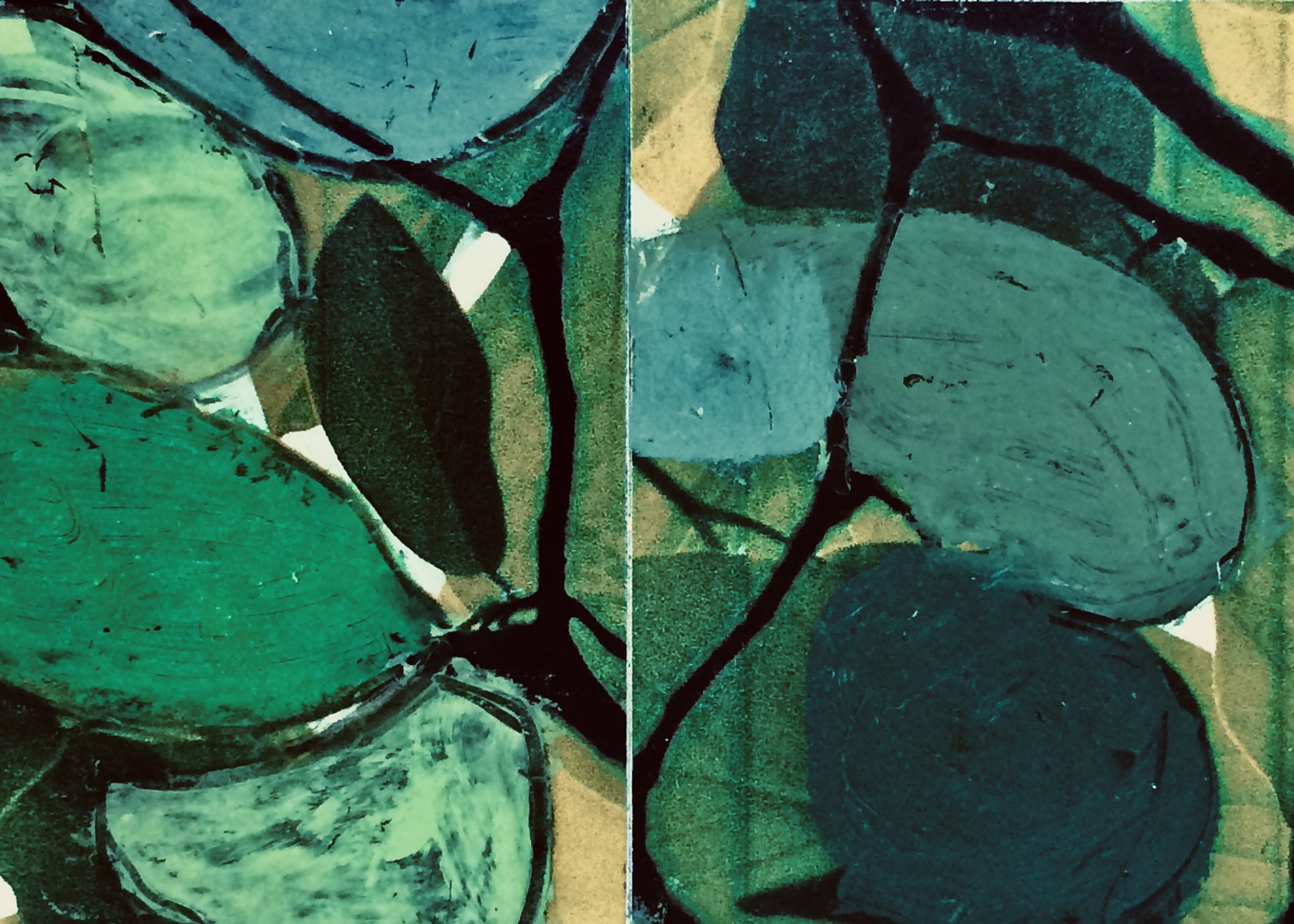 plants. 139