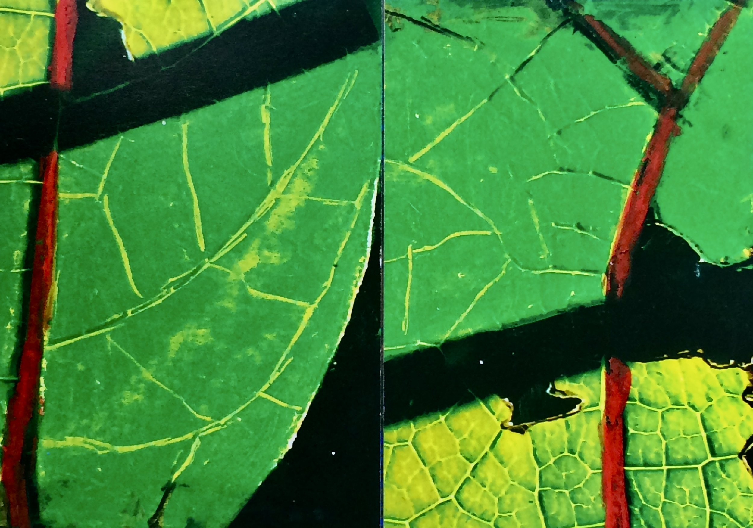plants 141