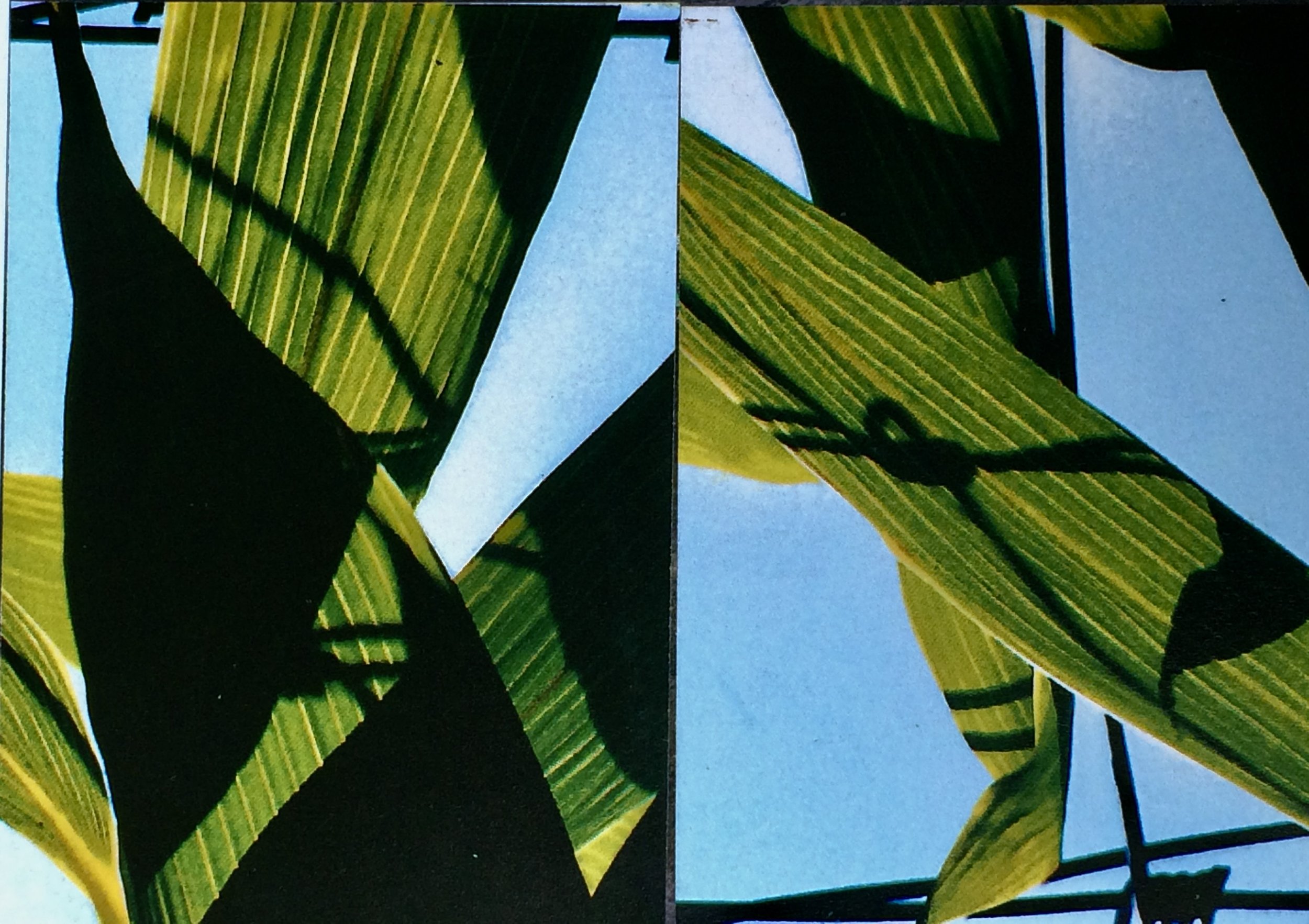 plants. 143