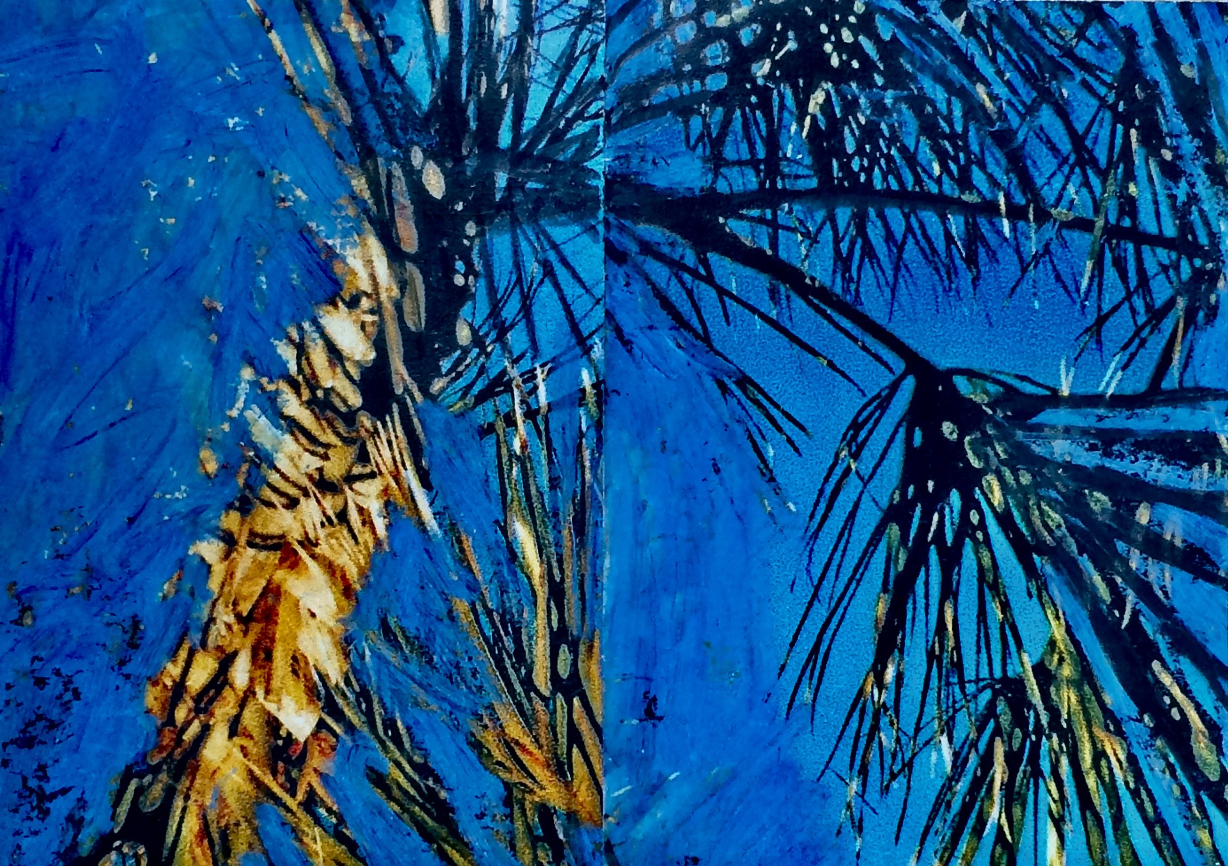 plants. 149