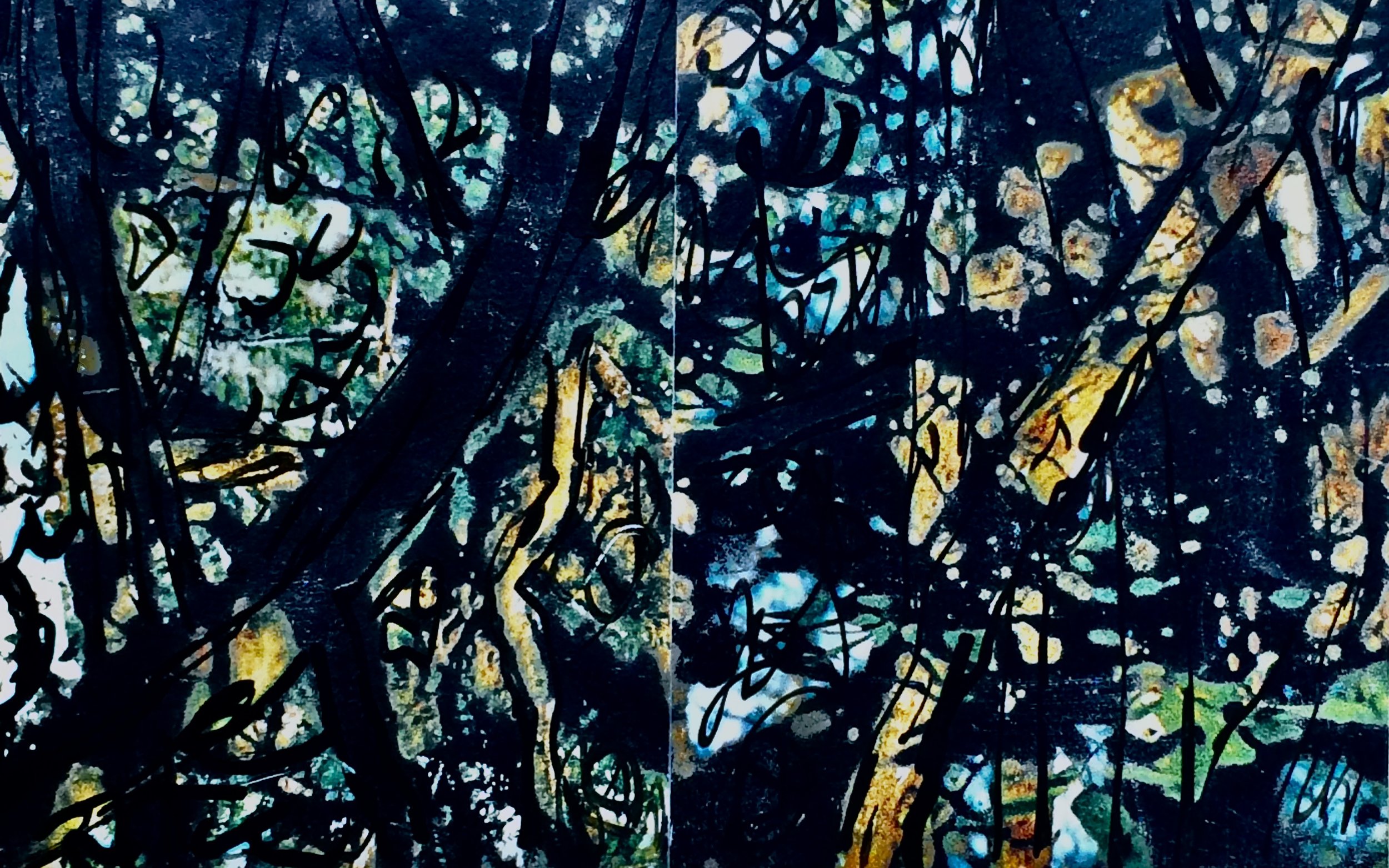 plants. 154
