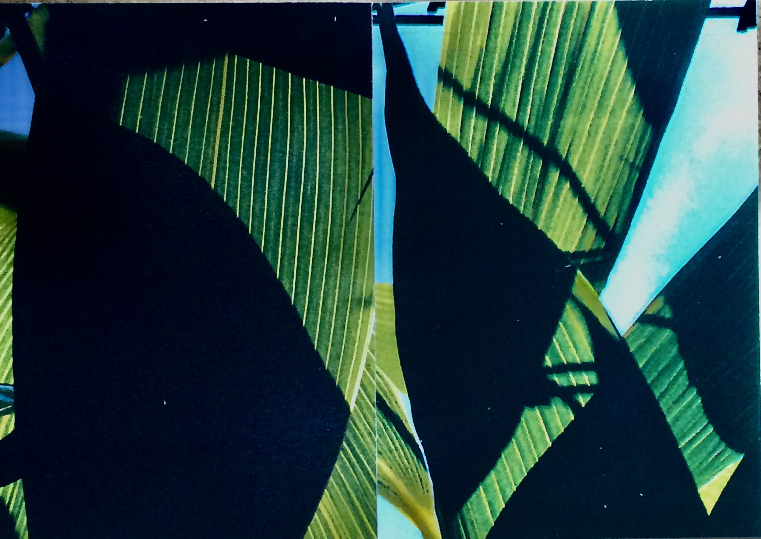 plants. 157