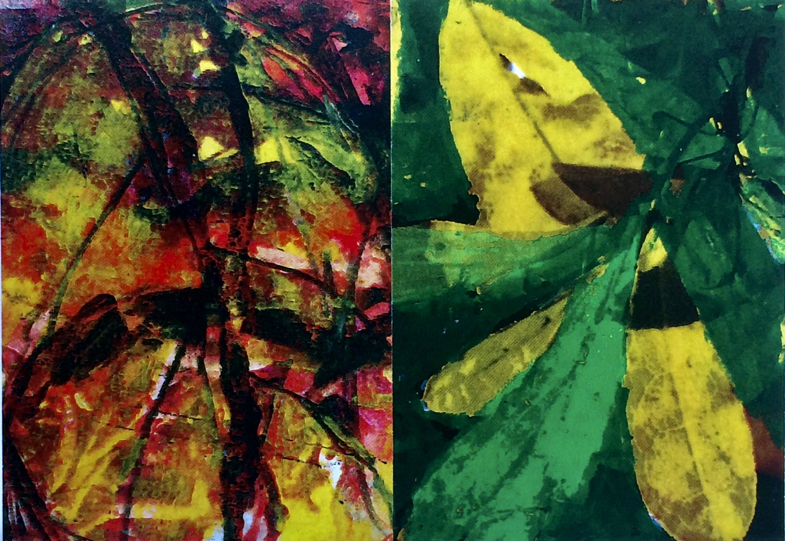 plants 164