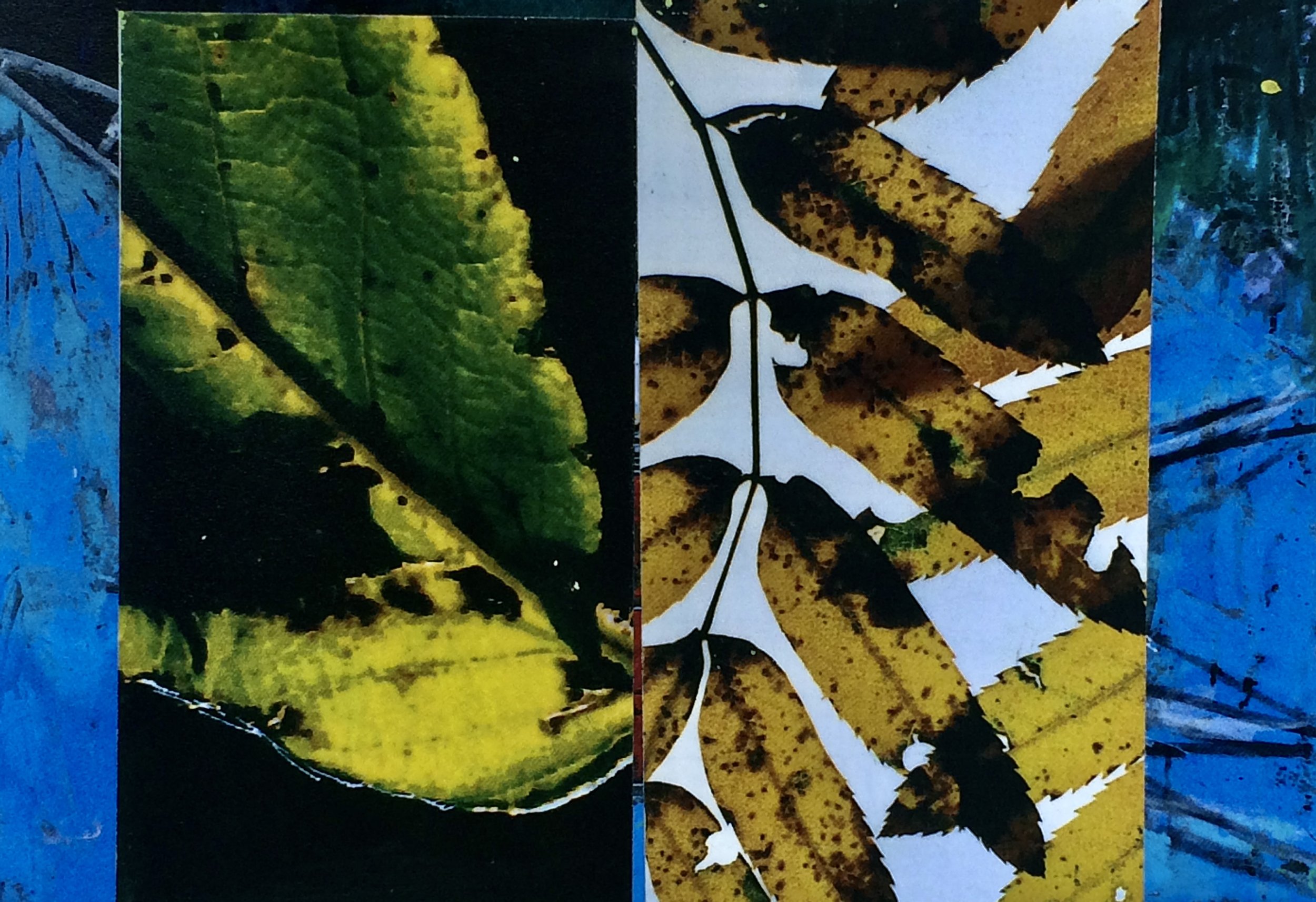 plants. 168