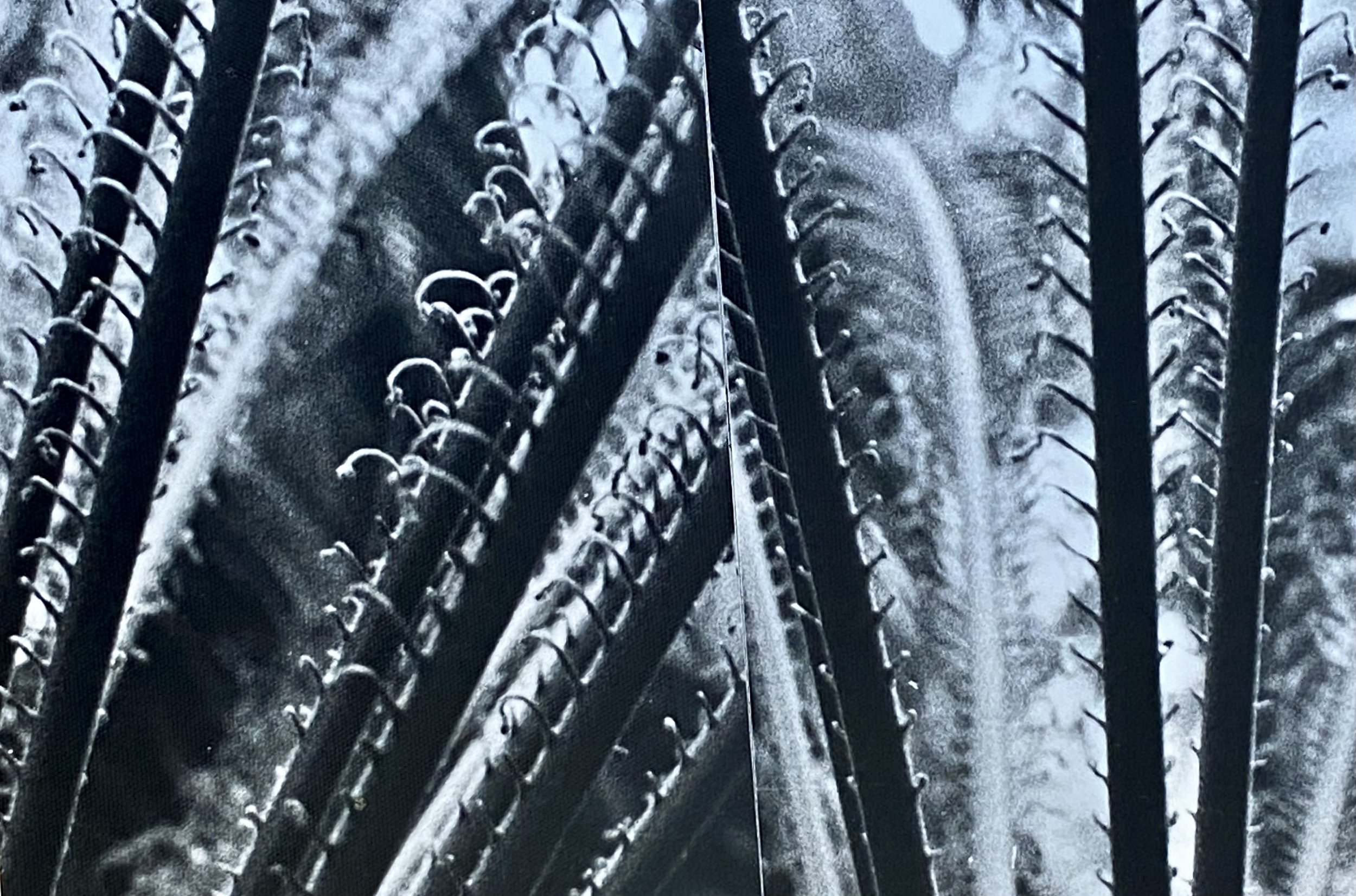 plants. 176